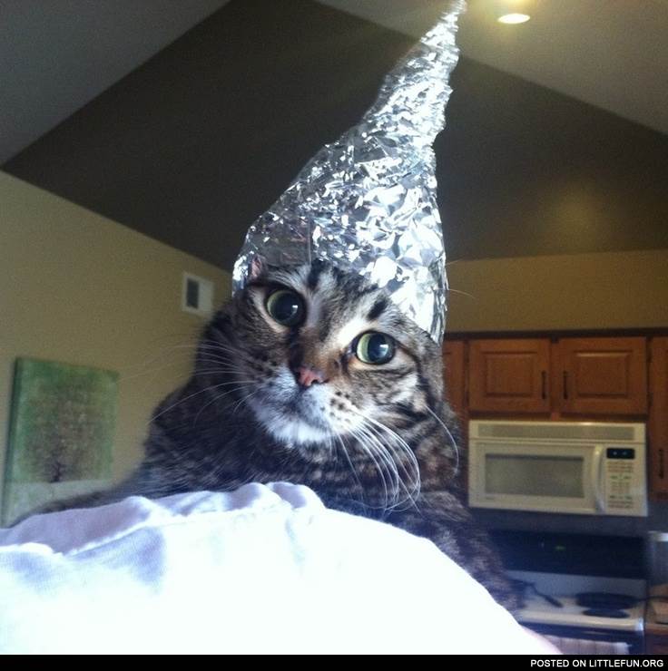 catfoil zpsedefb57b
