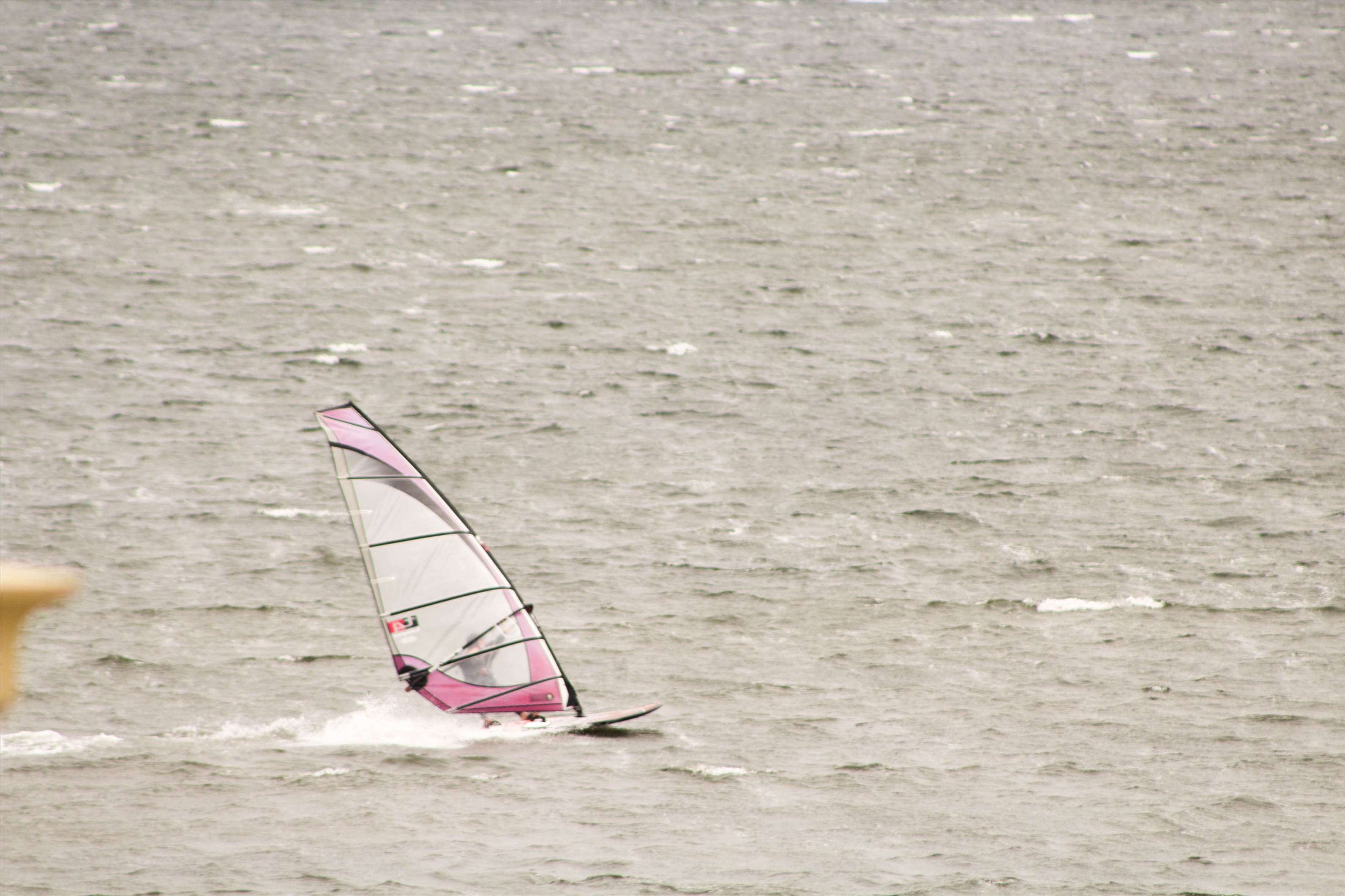 15-7-2017 Windsurfers