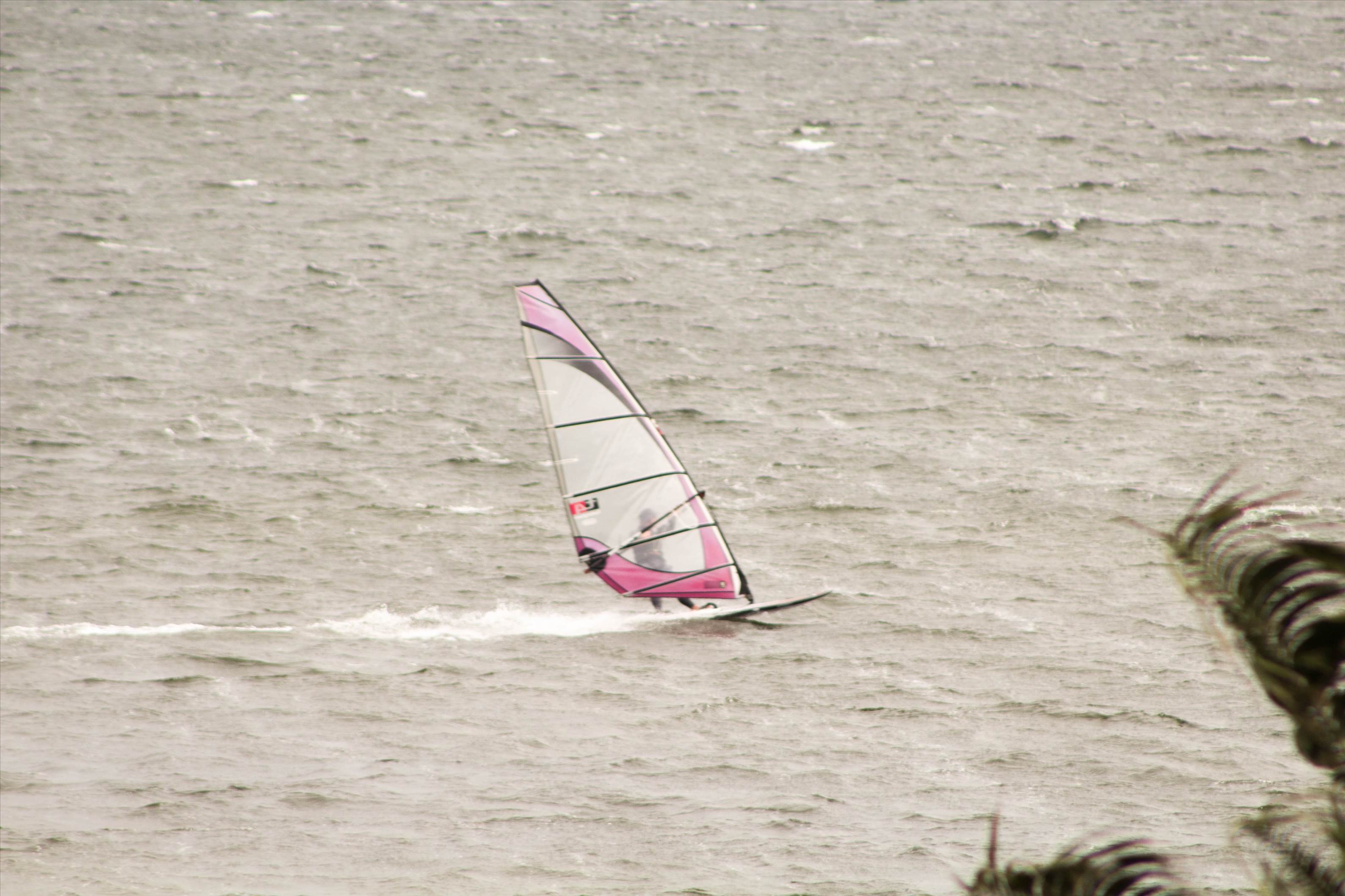15-7-2017 Windsurfers