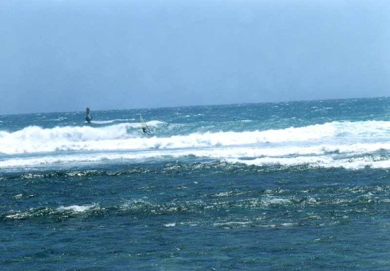 Gnaraloo 2006