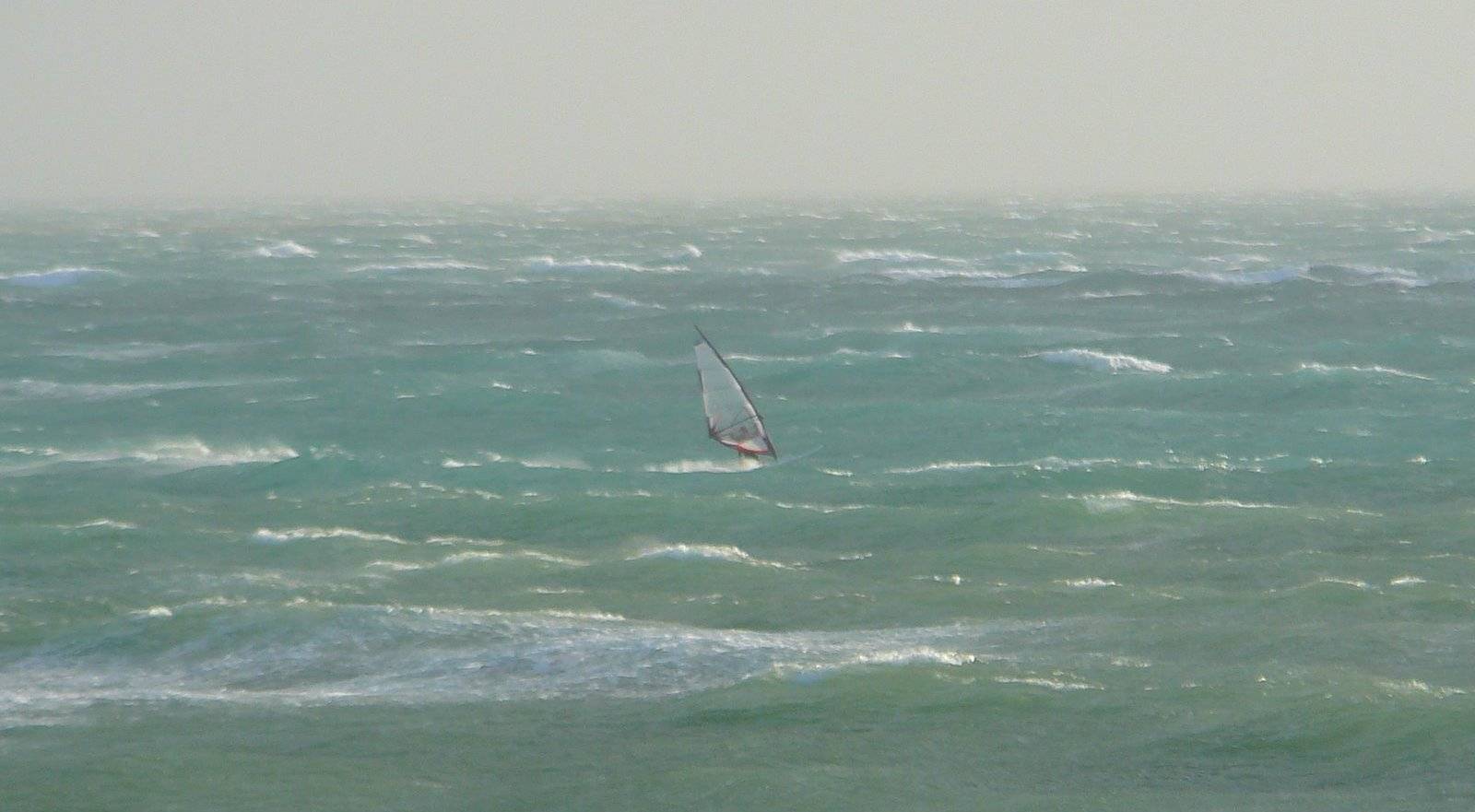 Crazy Day @ Crazy Waves