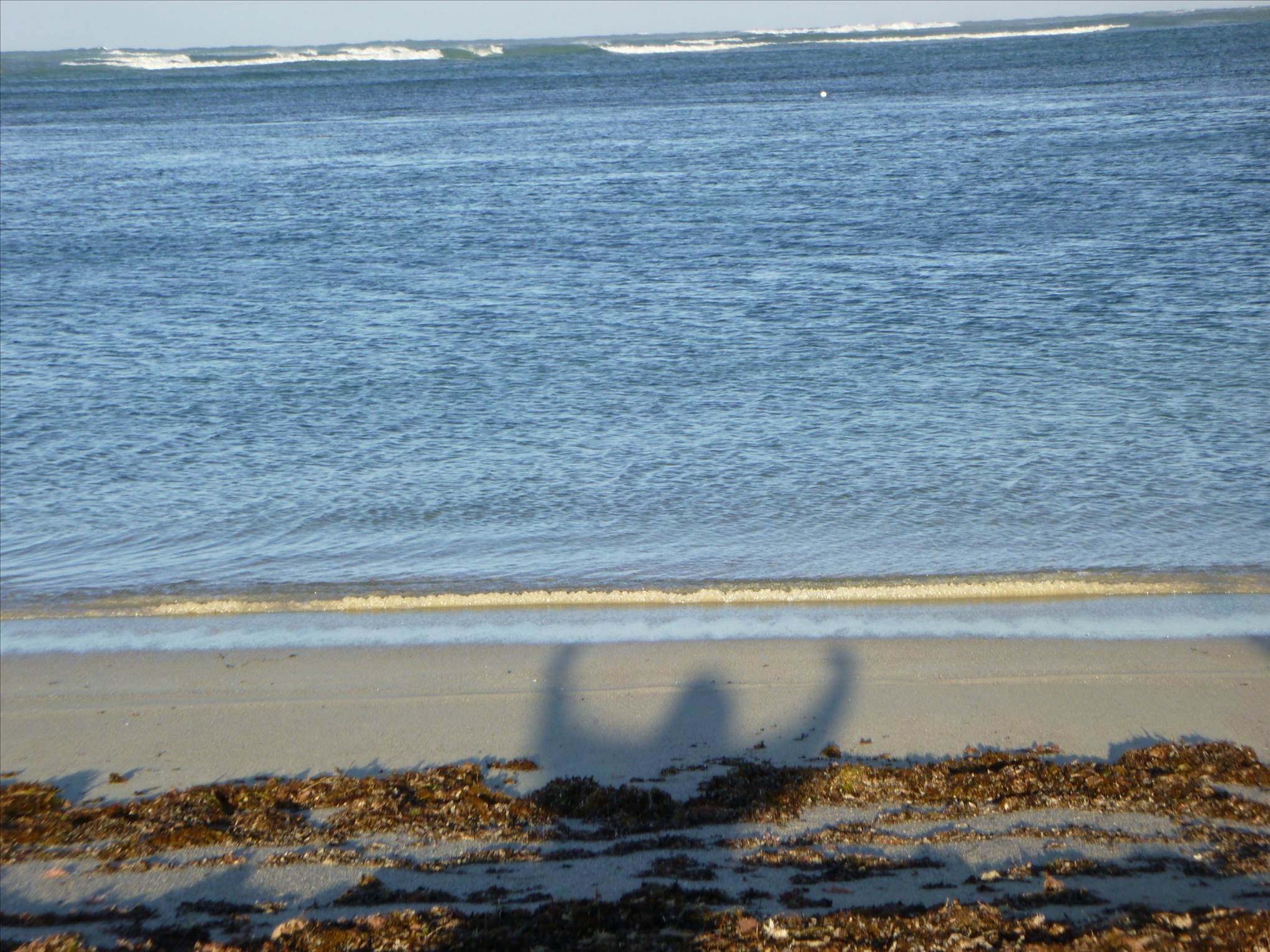 P1000102