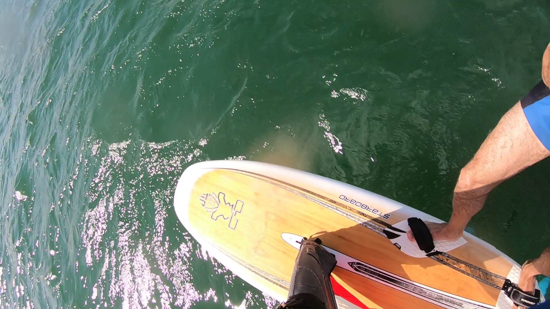 Kyeemagh windsurfing and foiling