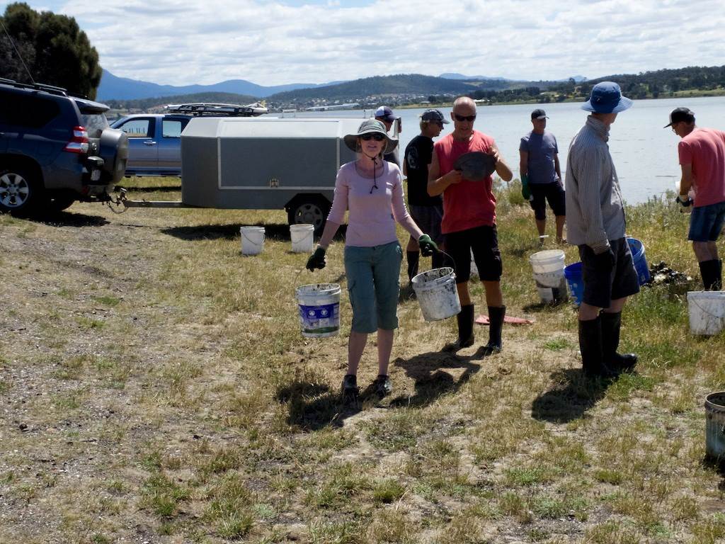 Oyster Clean Up