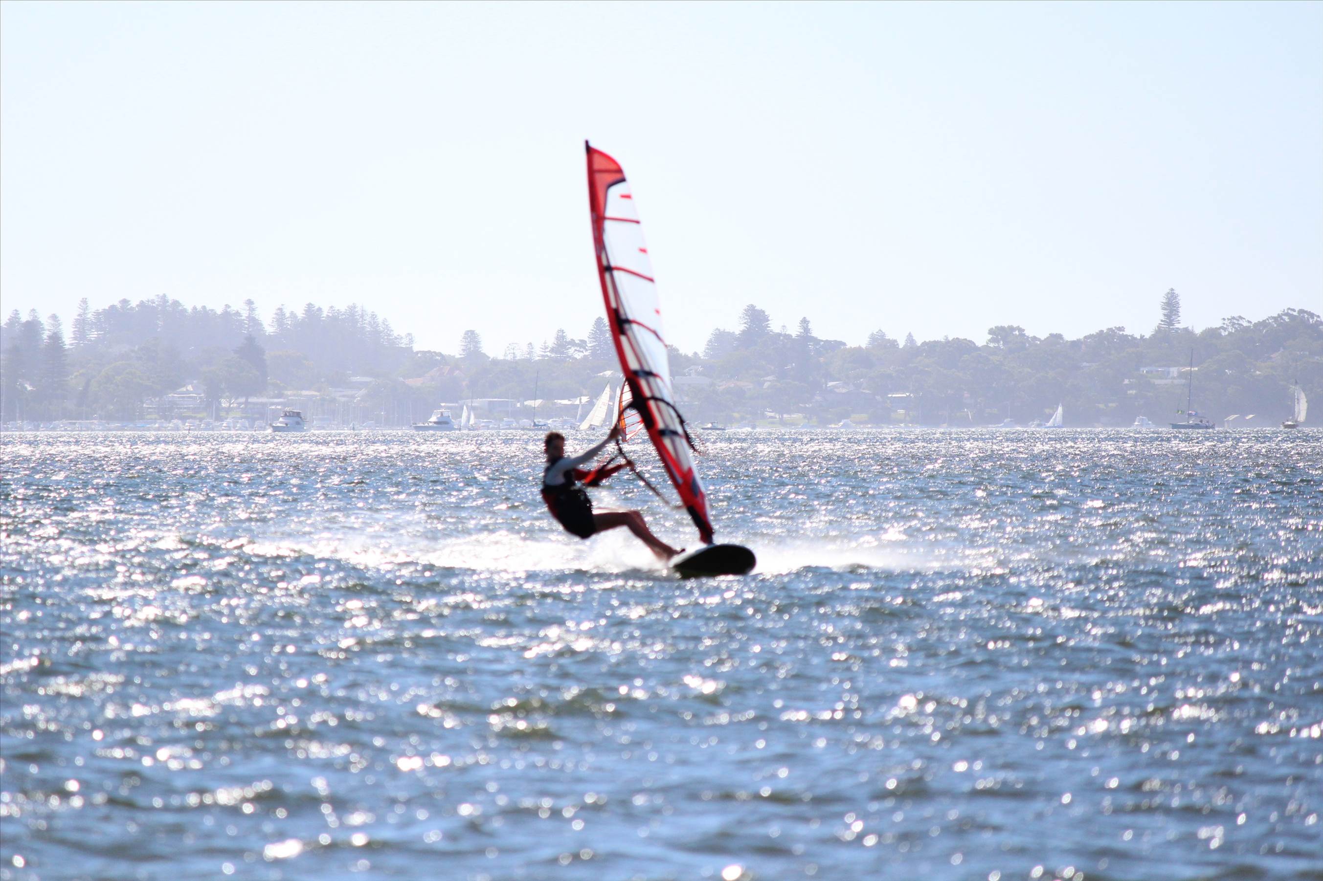 kid windsurfing