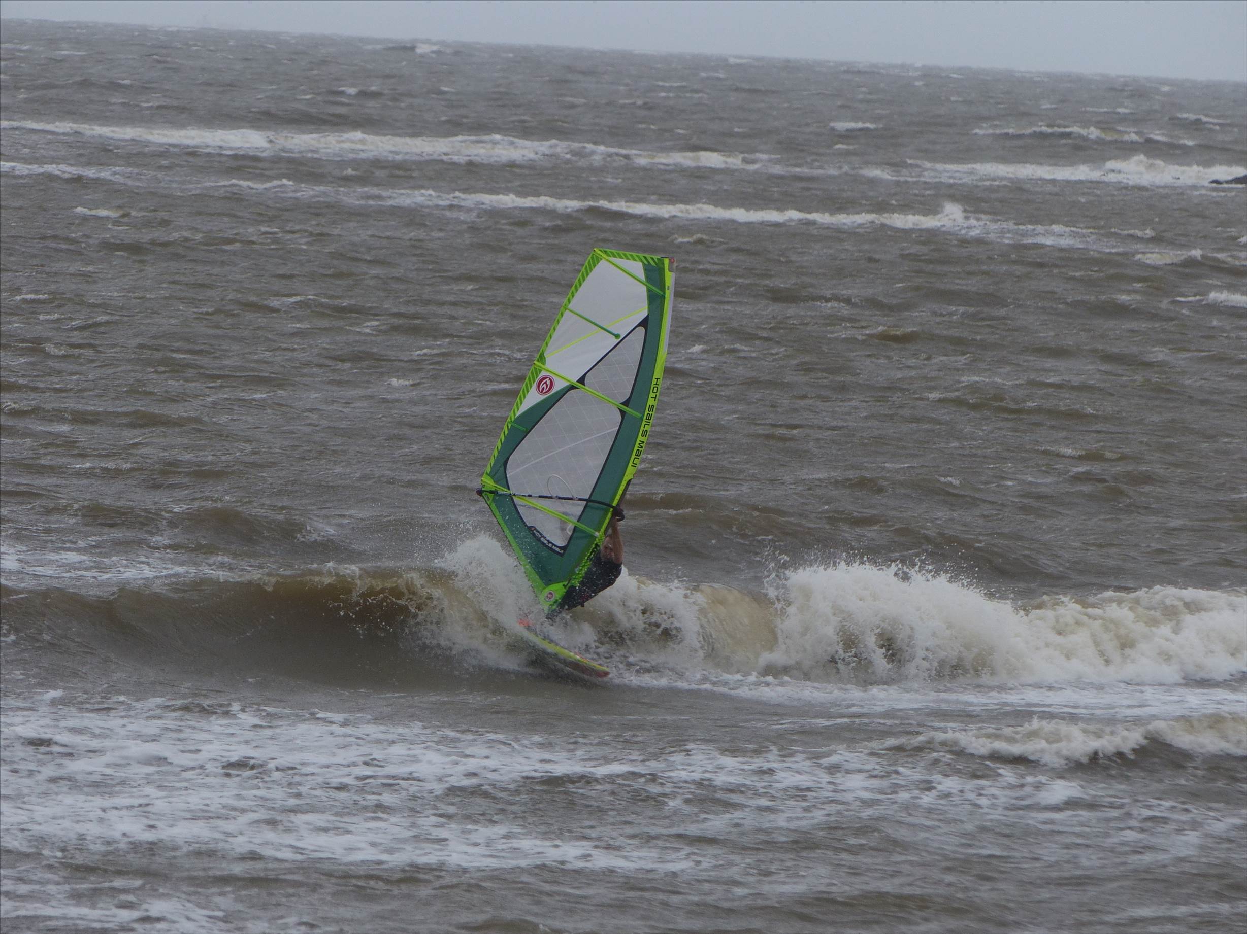 Windy