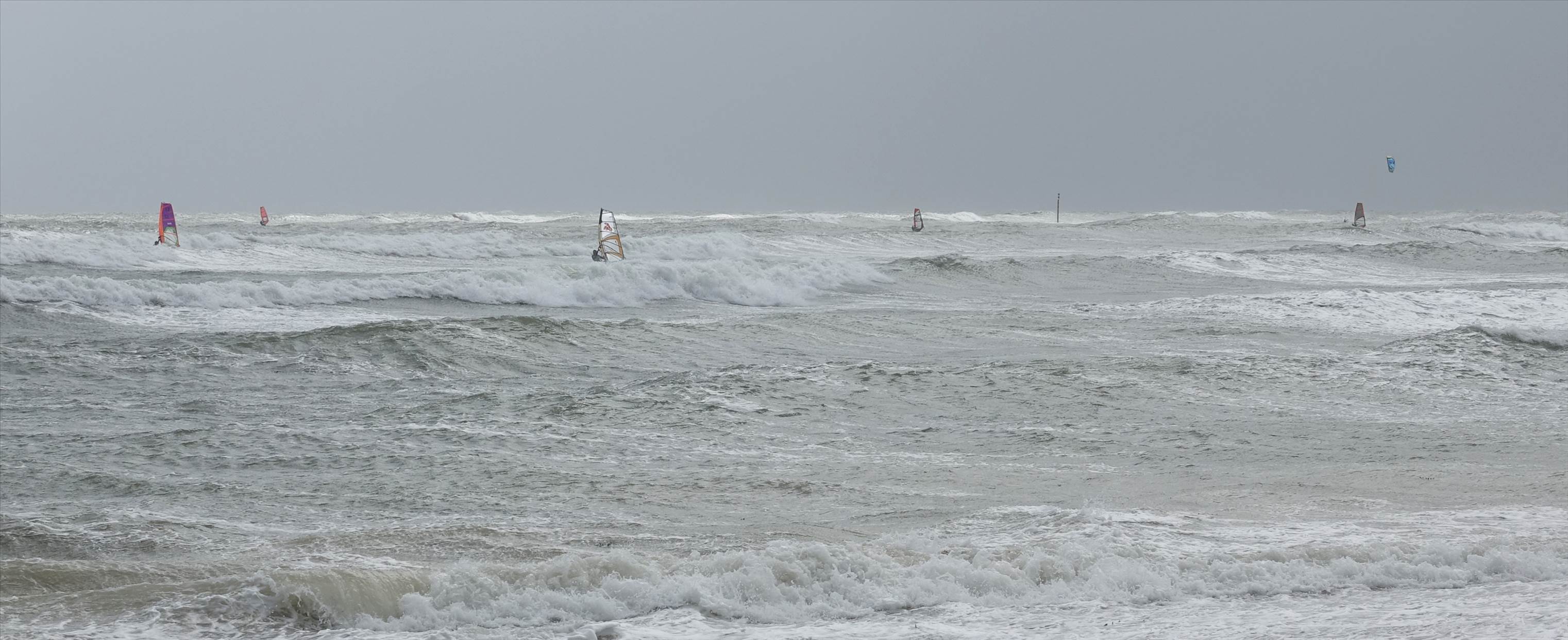 wild weather