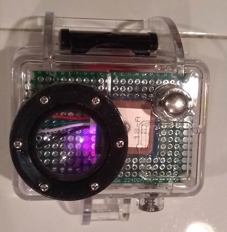 BT case