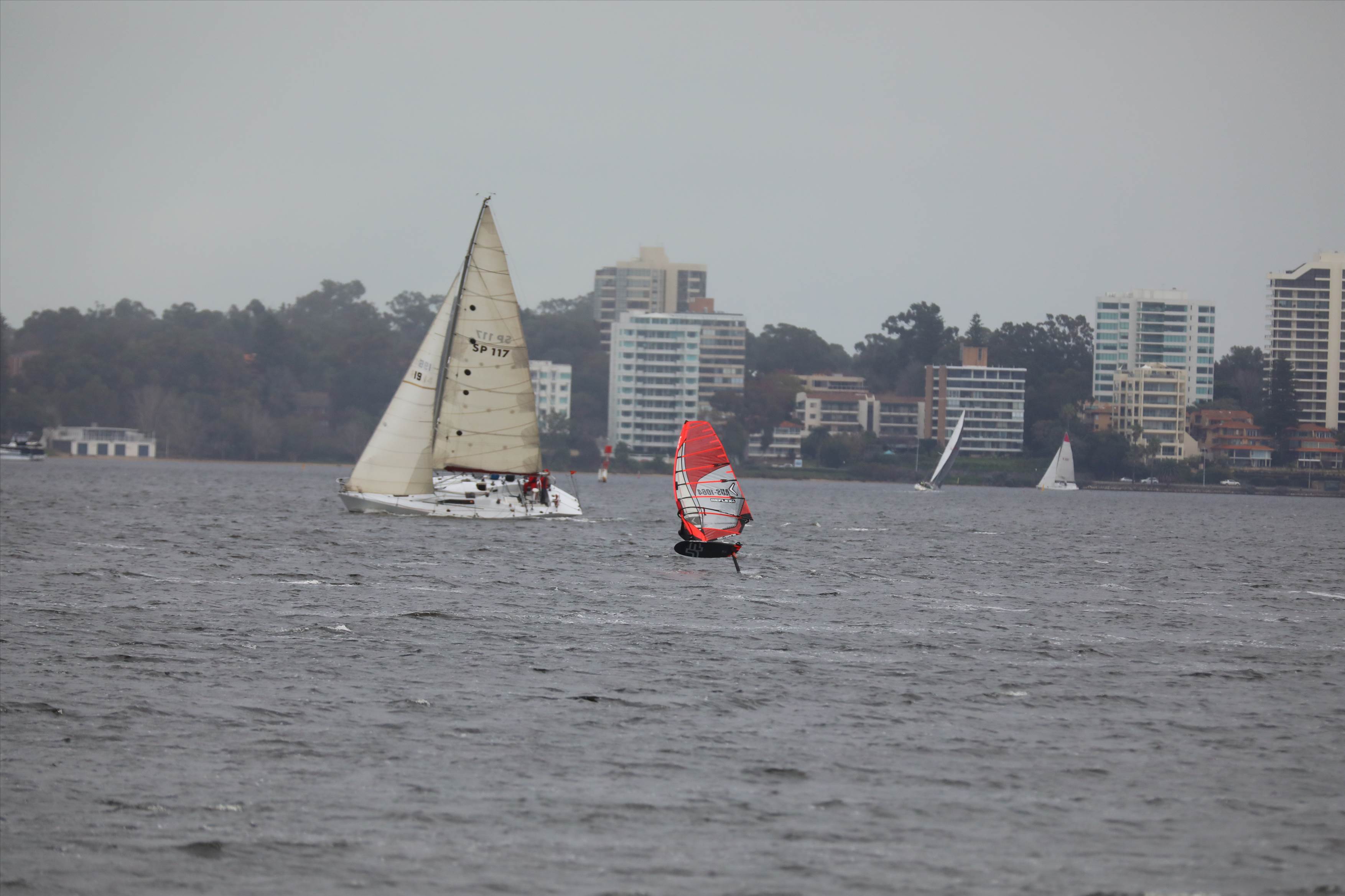Foil Swan river