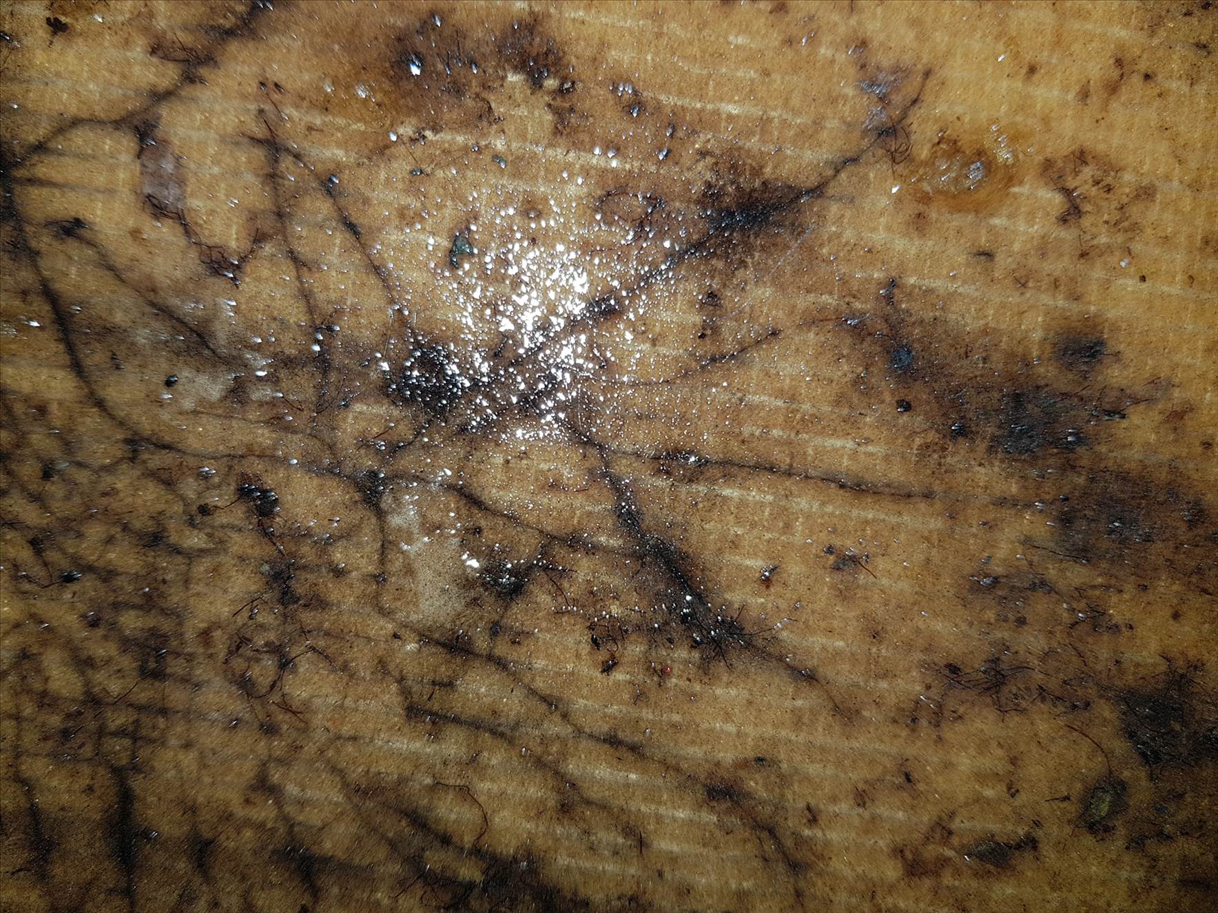 20180813 170355