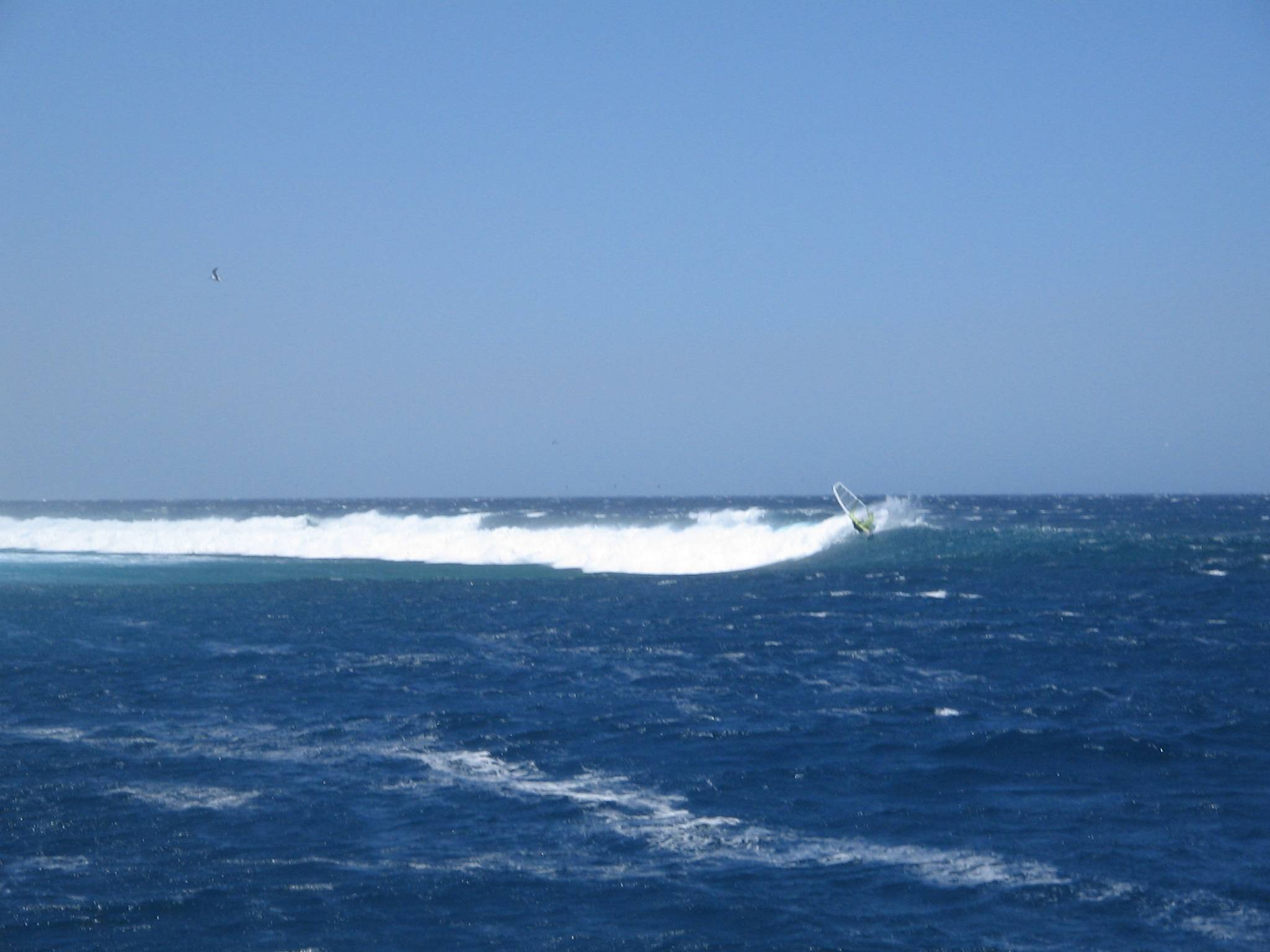 More shots from Abrolhos