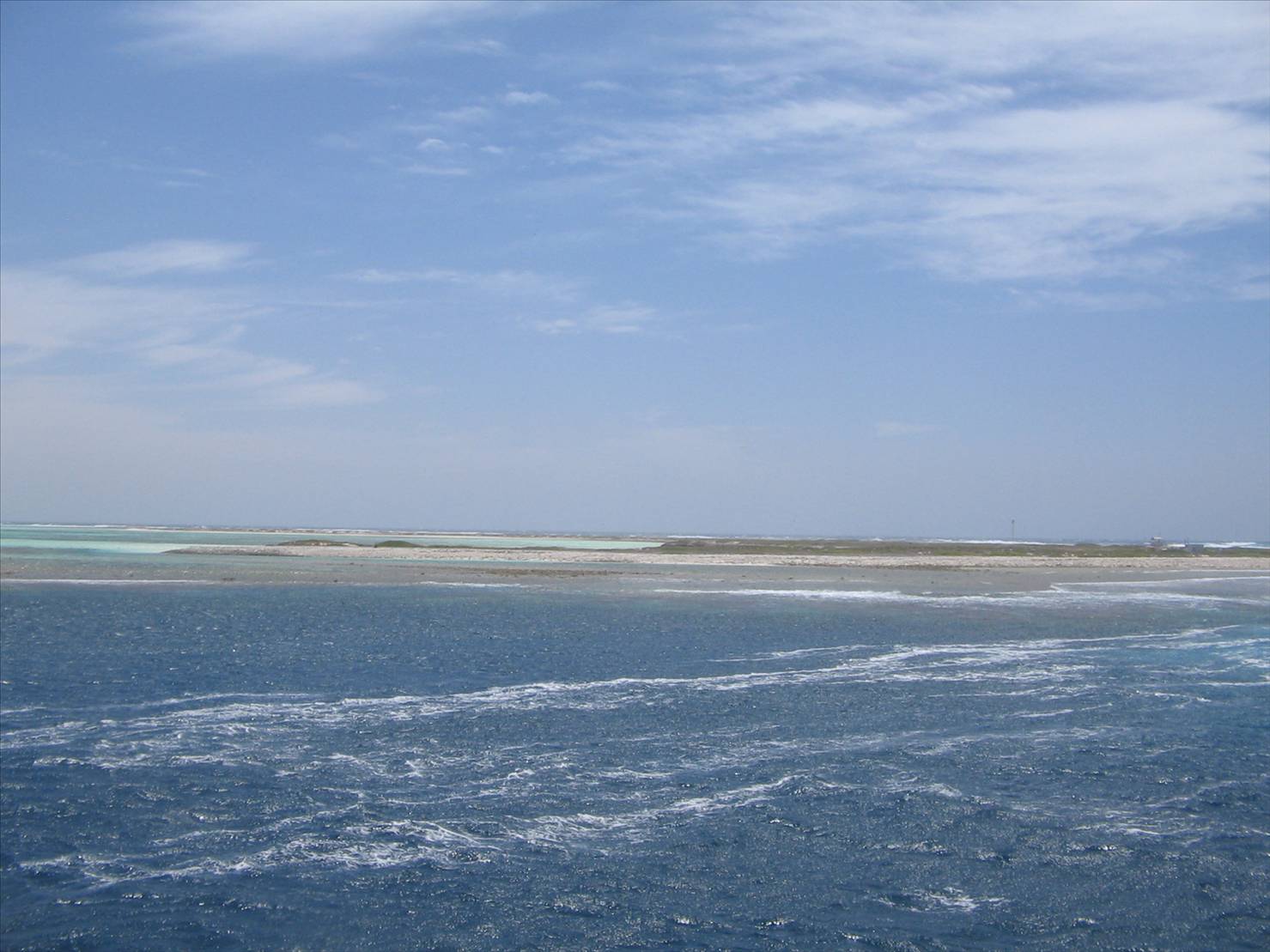 More shots from Abrolhos