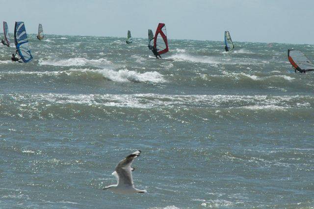Seacliff - best day for a long time and over 2 dozen out