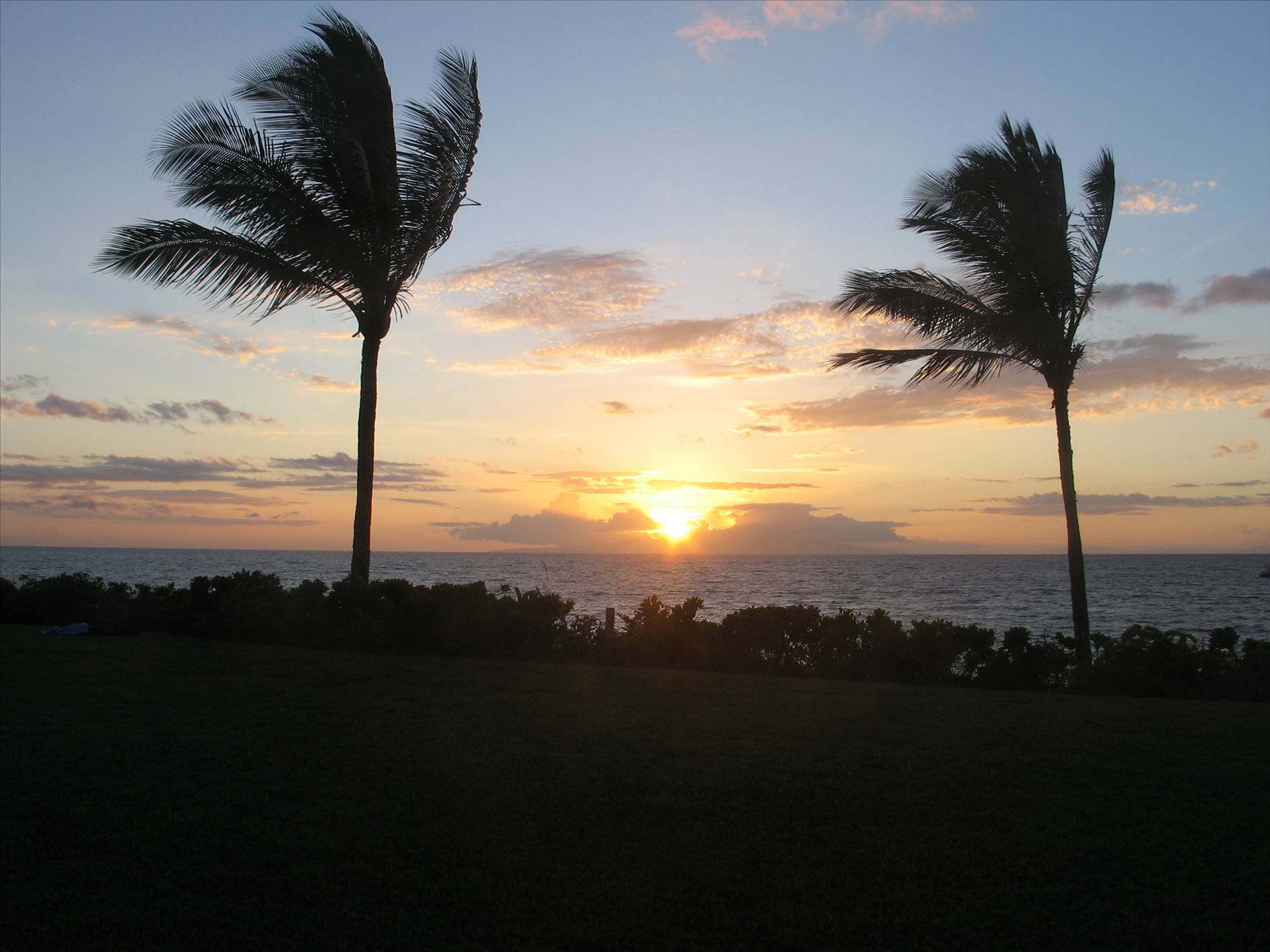 maui