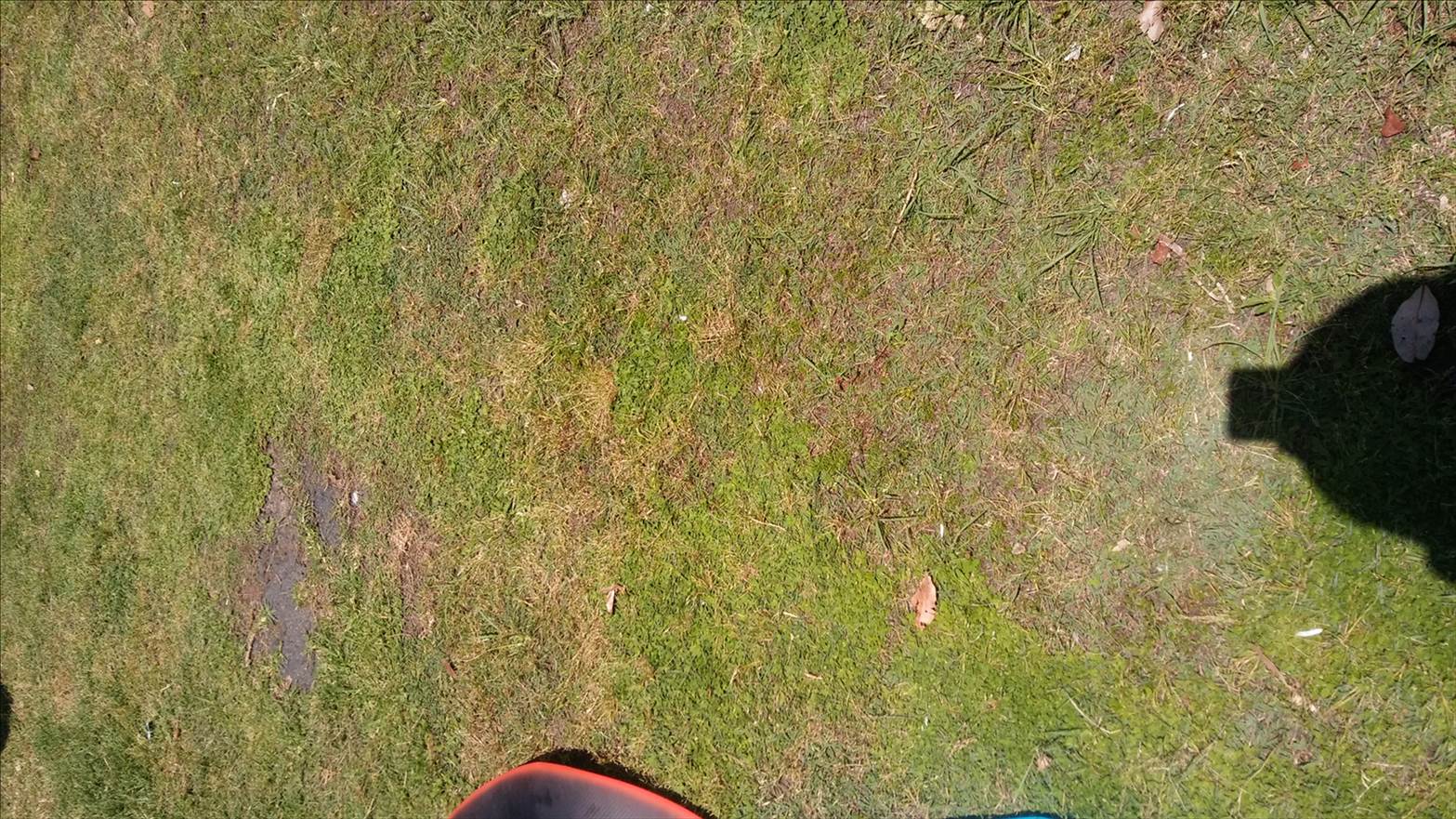 20181110 124253
