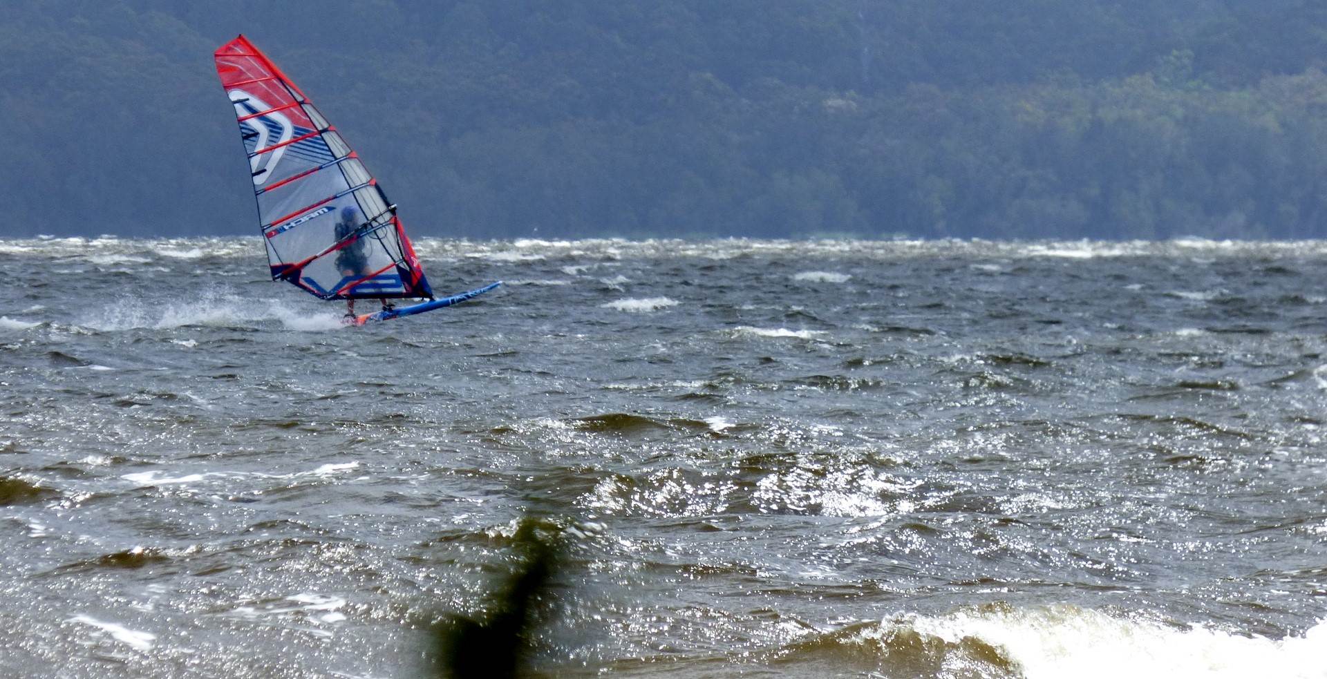 P1310726 (Large)