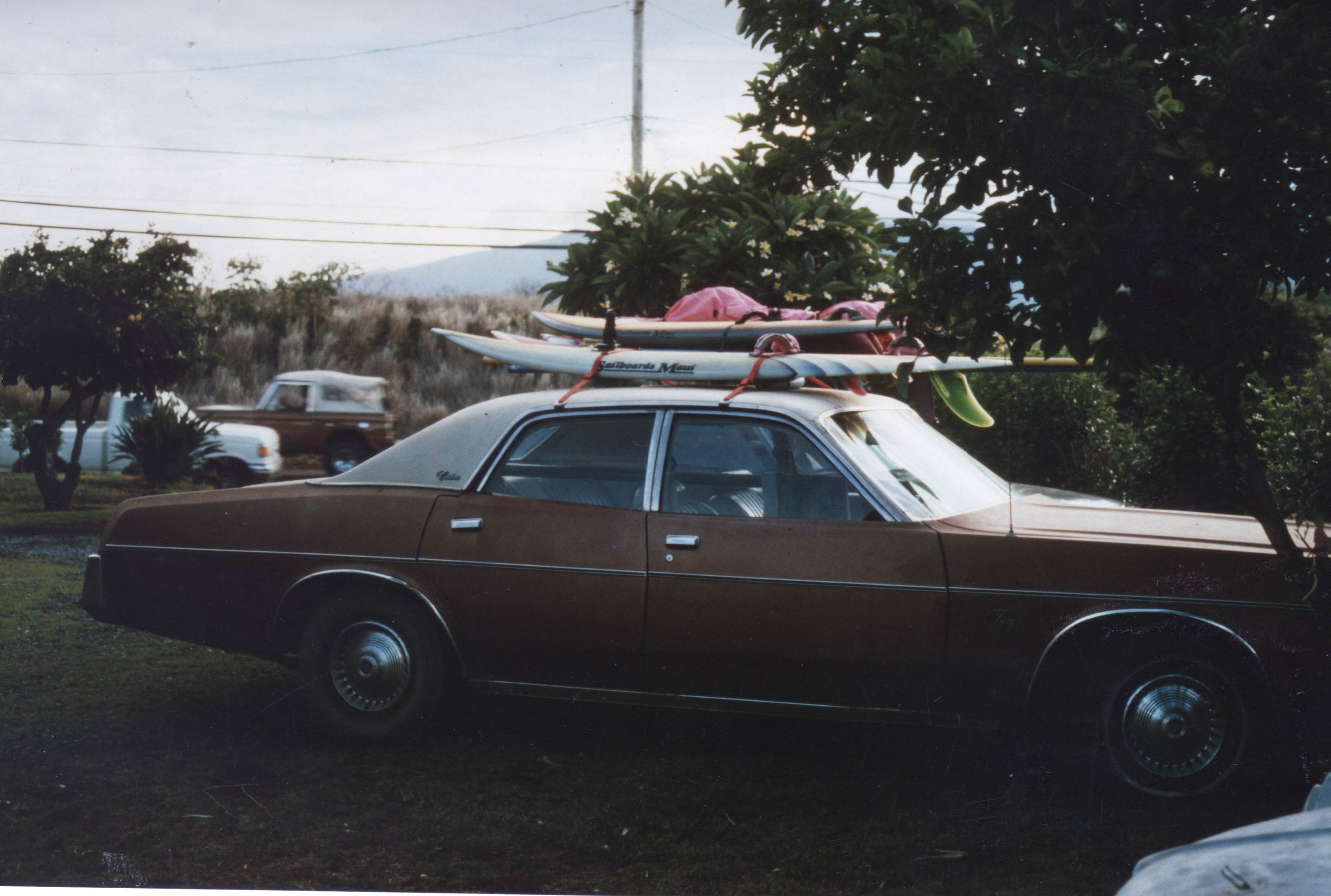 Maui Cruiser