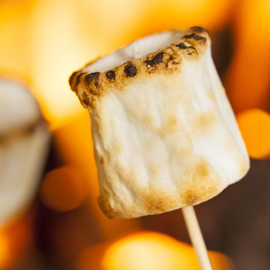 Toasted Marshmellow