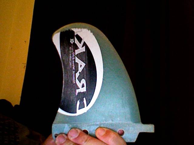 freestyle fin