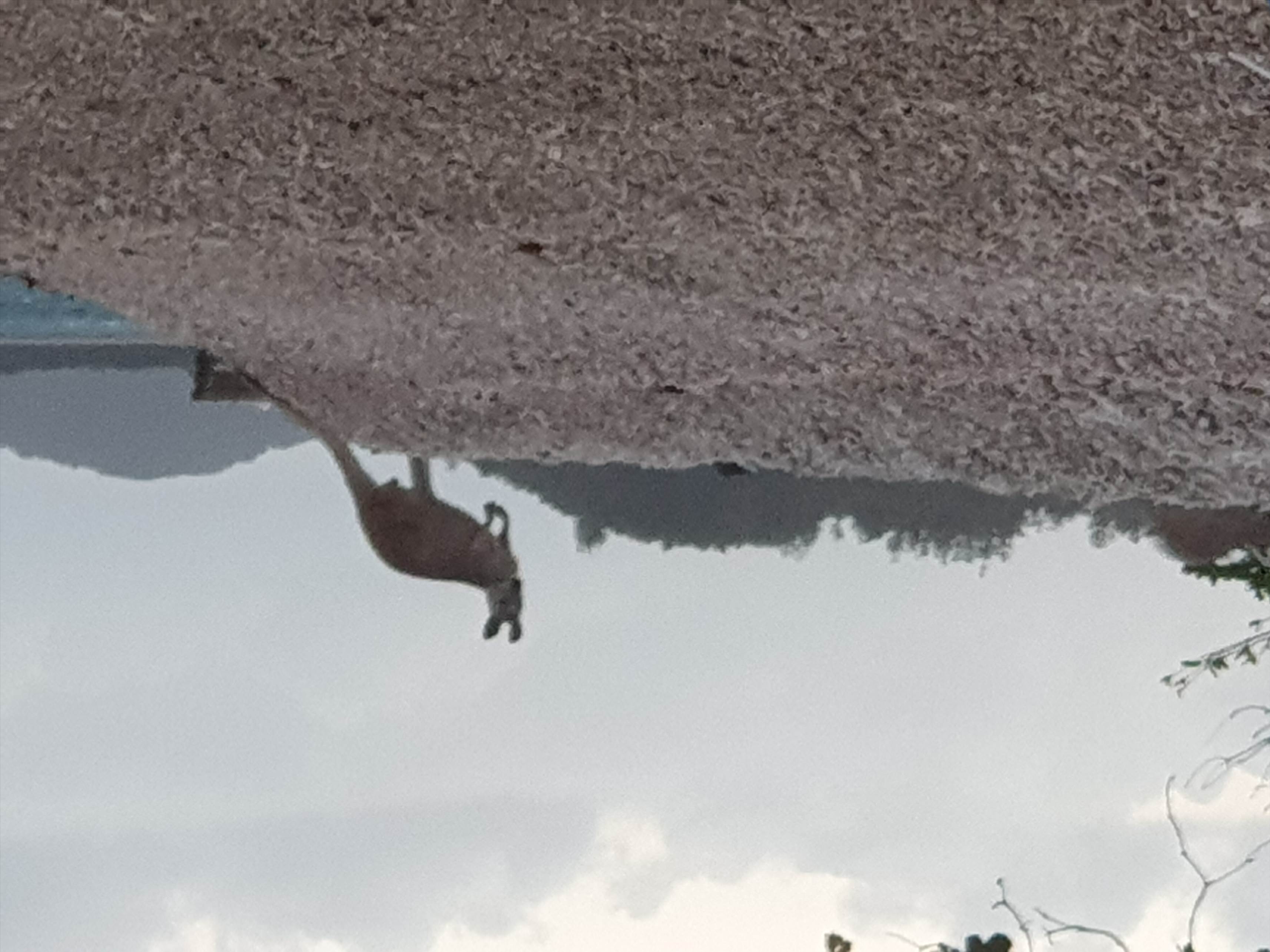 20190912 055810