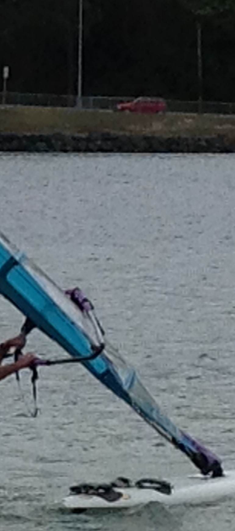free windsurfer