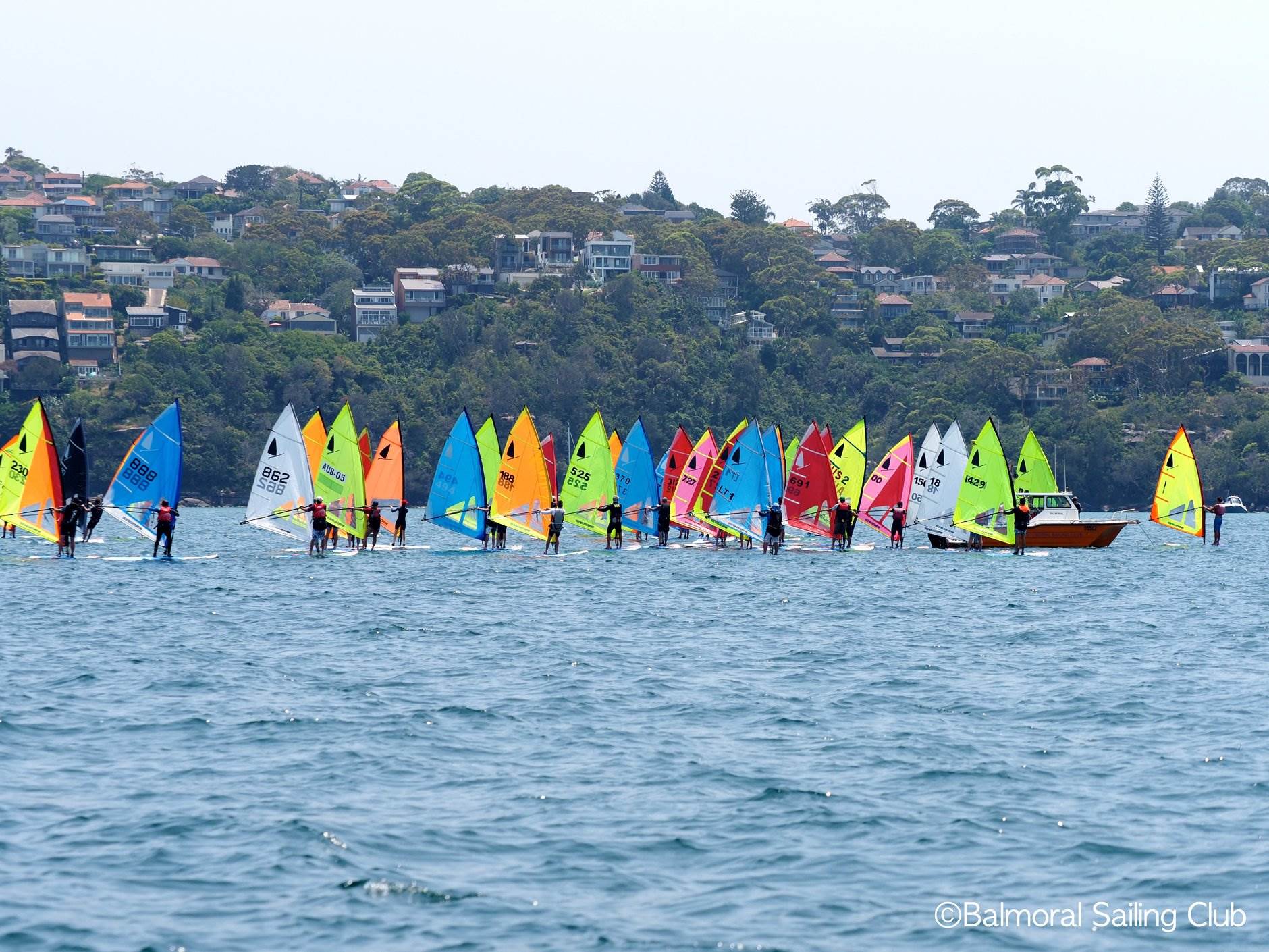 2019 NSW States