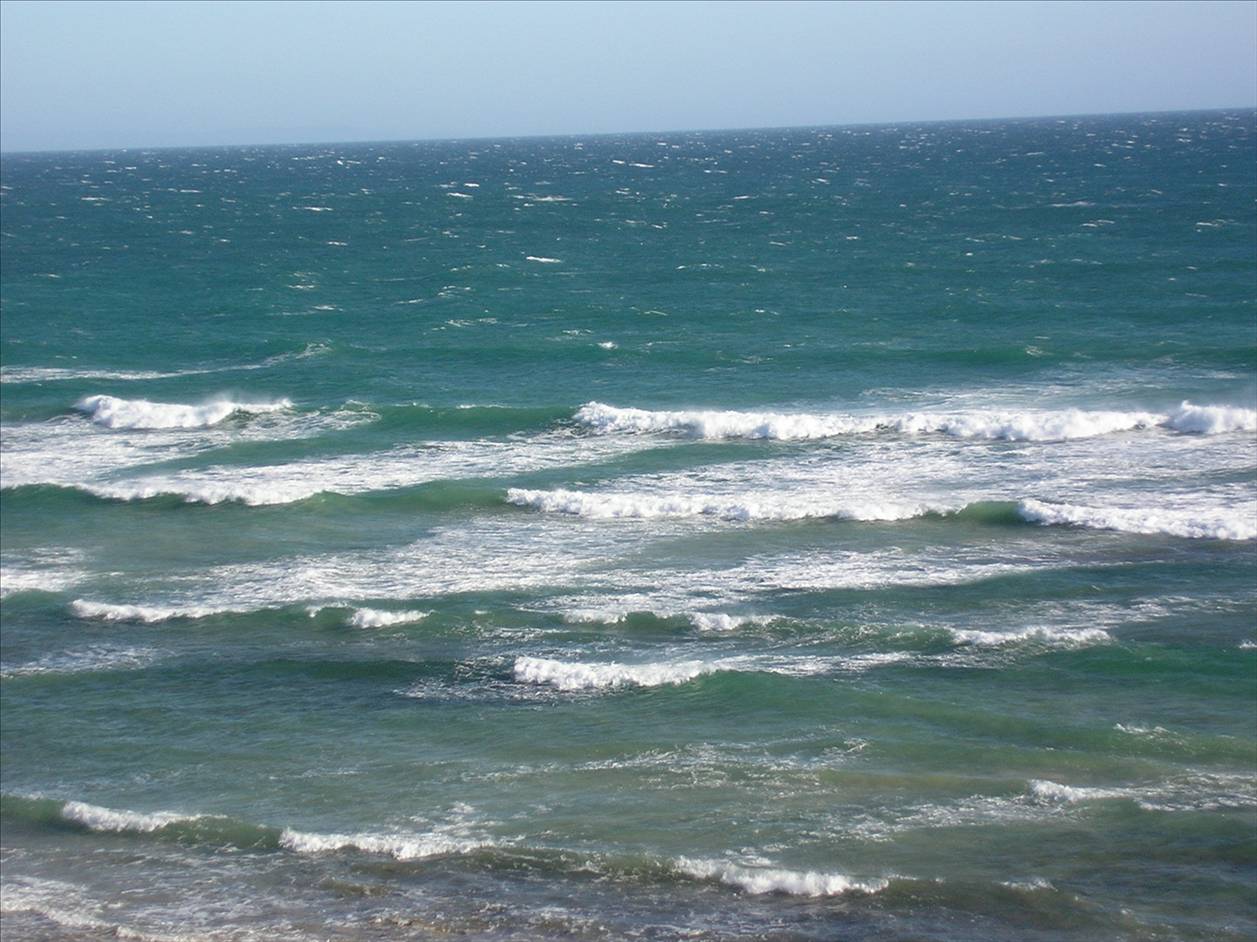 Seaford Today