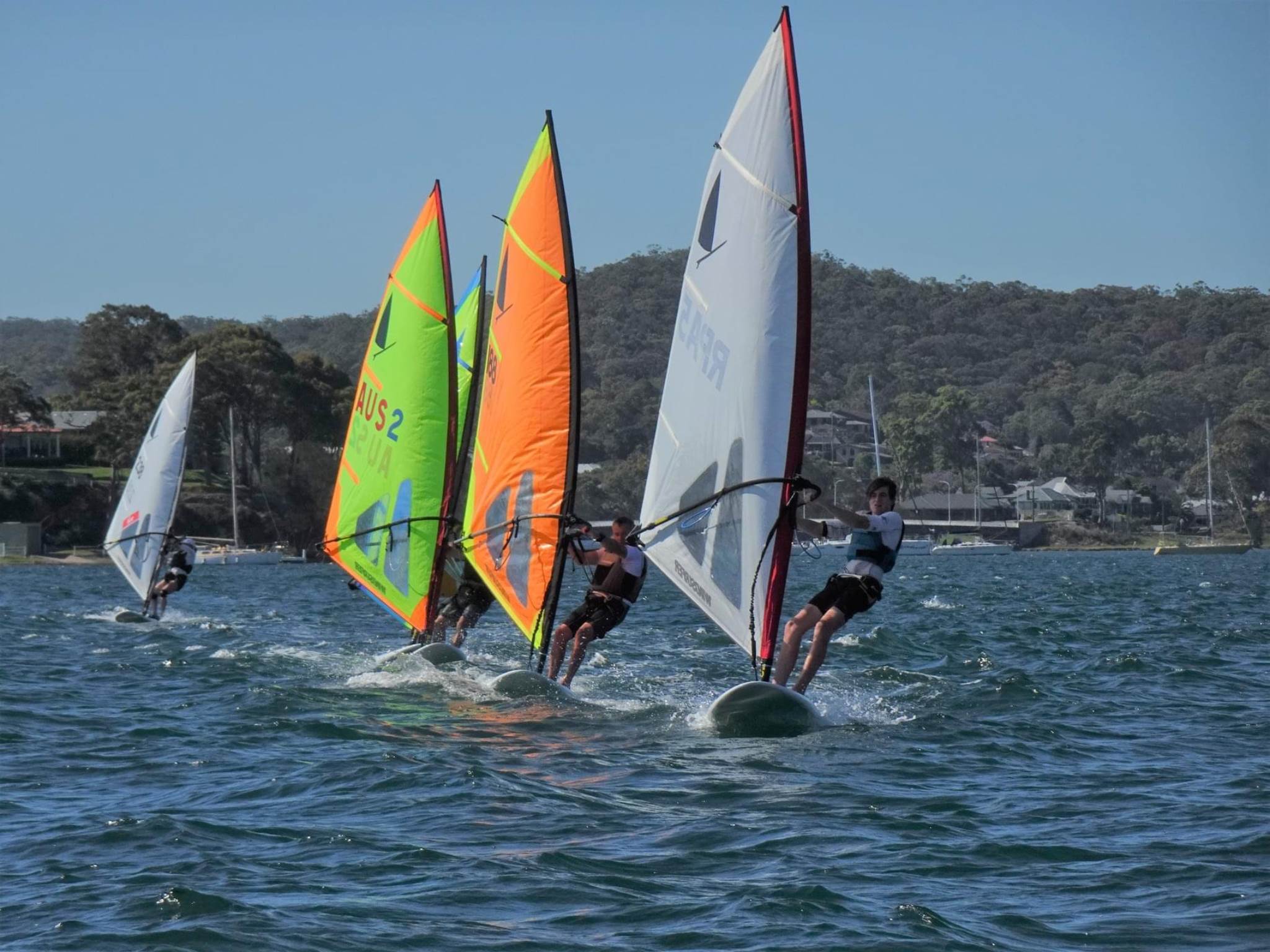2020 Windsurfer Class state championships