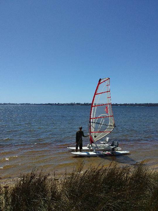 Wind Surf cat