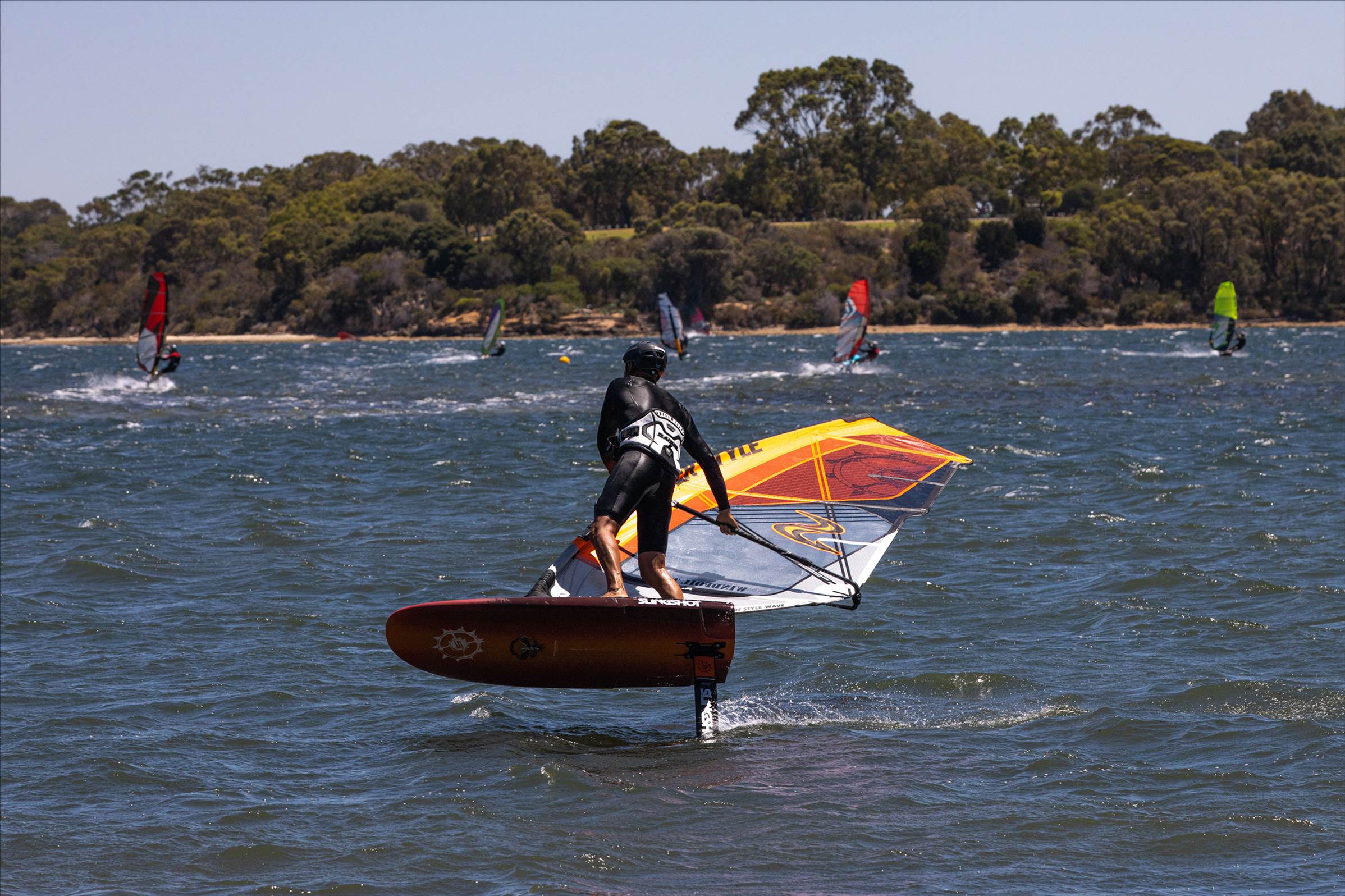 Perth Swan shark nursery