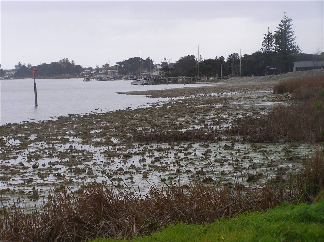 Goolwa in big trouble!!!