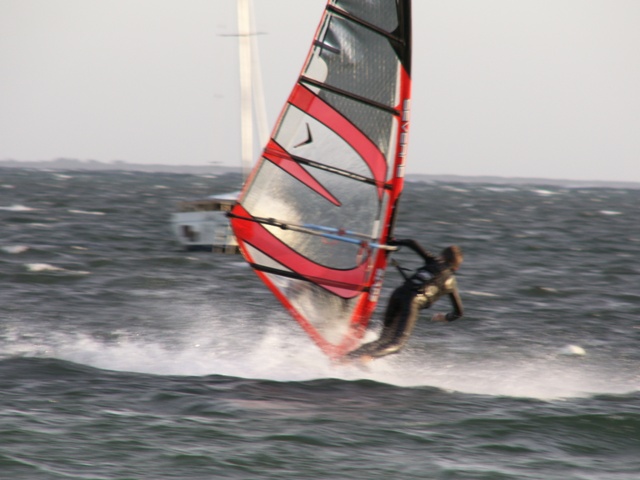 Free Style