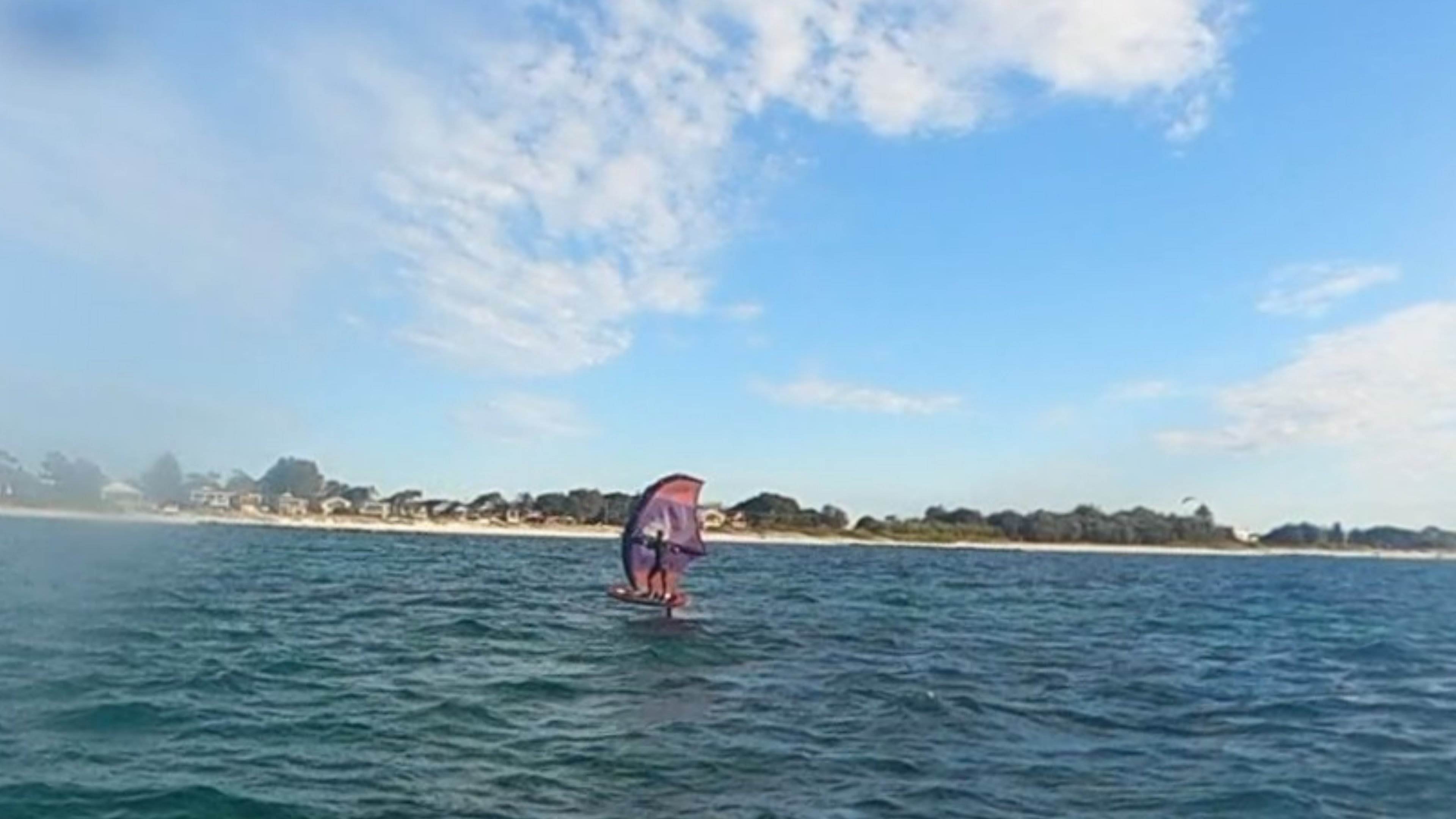 PinkWing