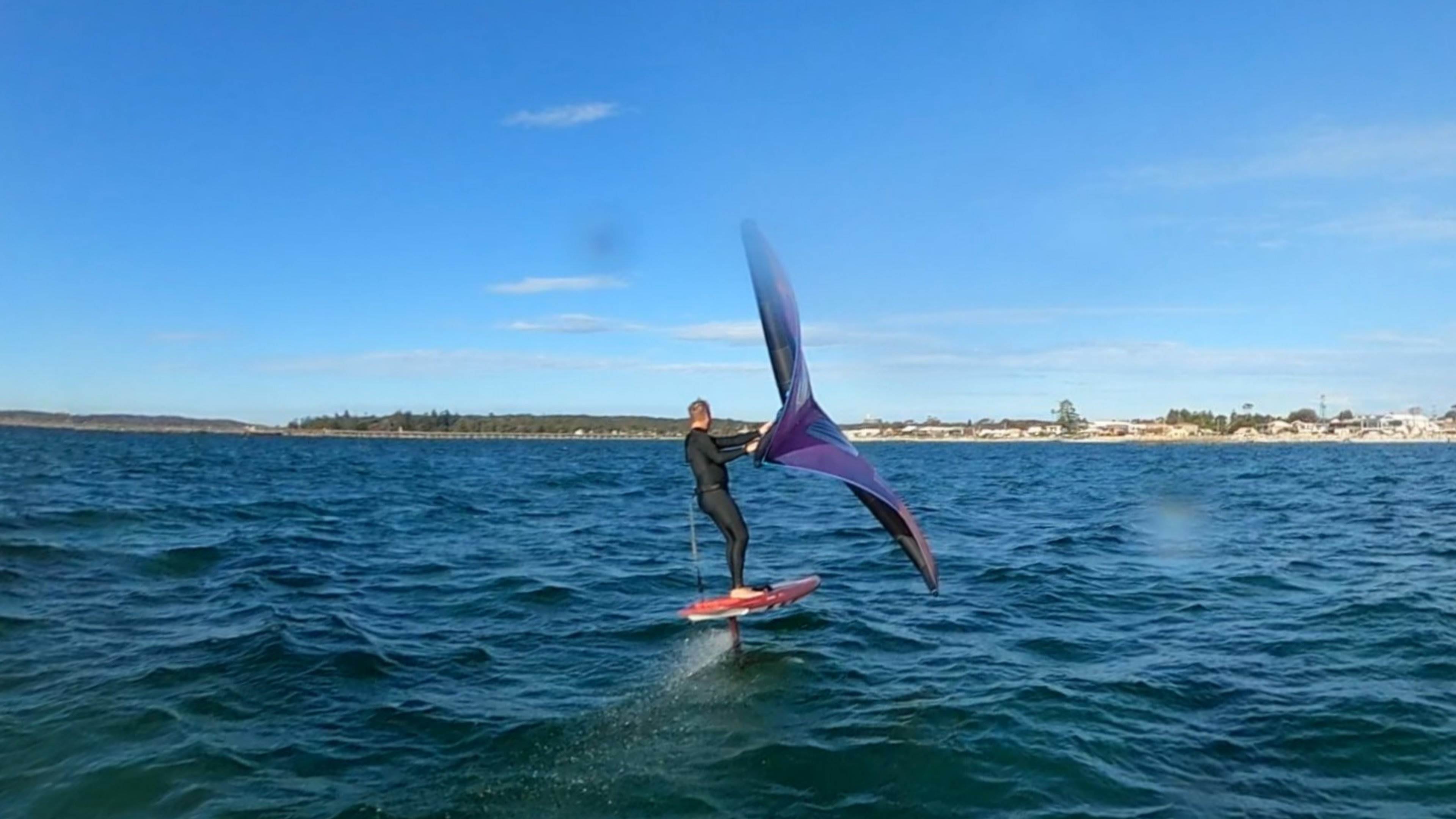 PinkWing2