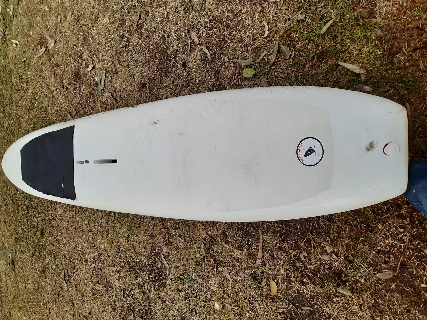 Windsurfer