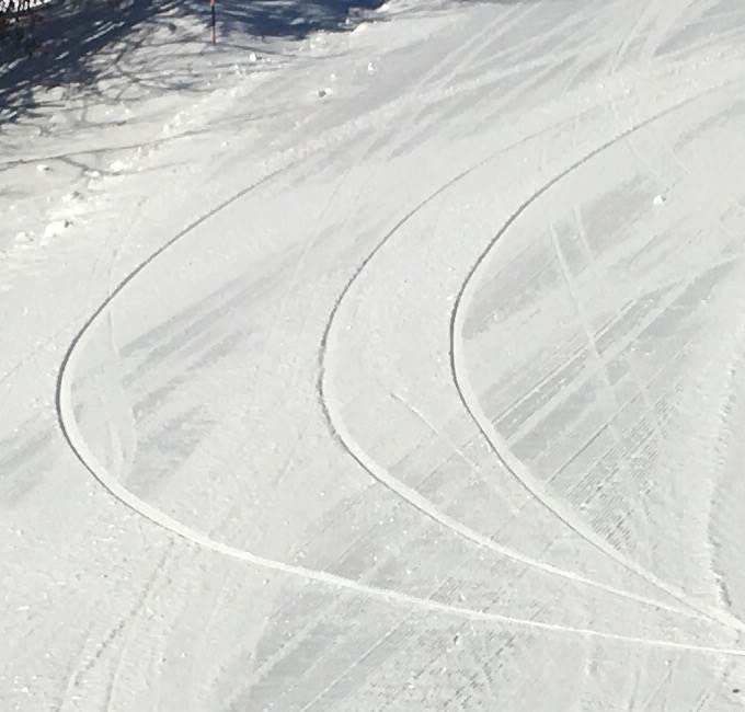 Proteus 180 tracks