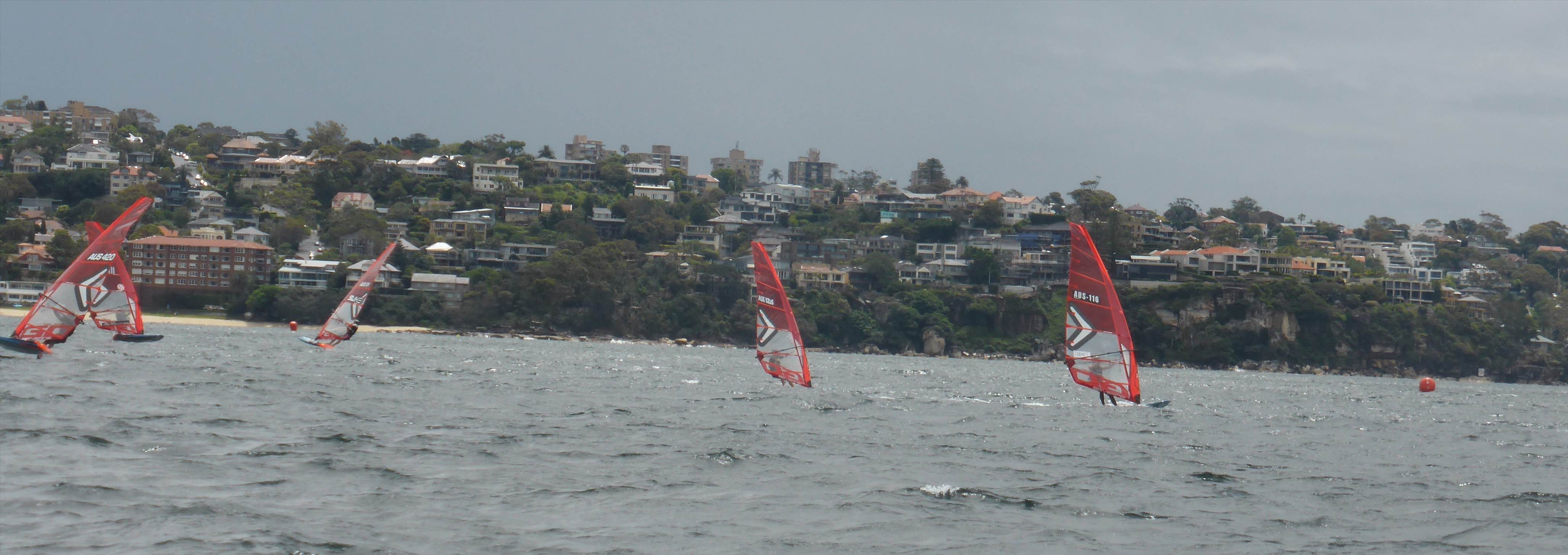 P1090134 (2)