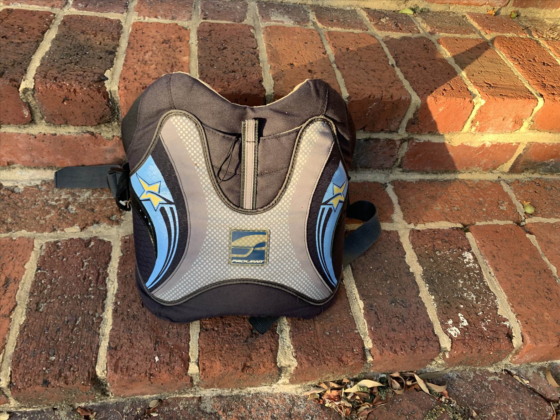 Found at Pelican Point 9/1/22