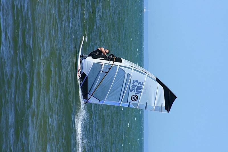 Bayside Open Day