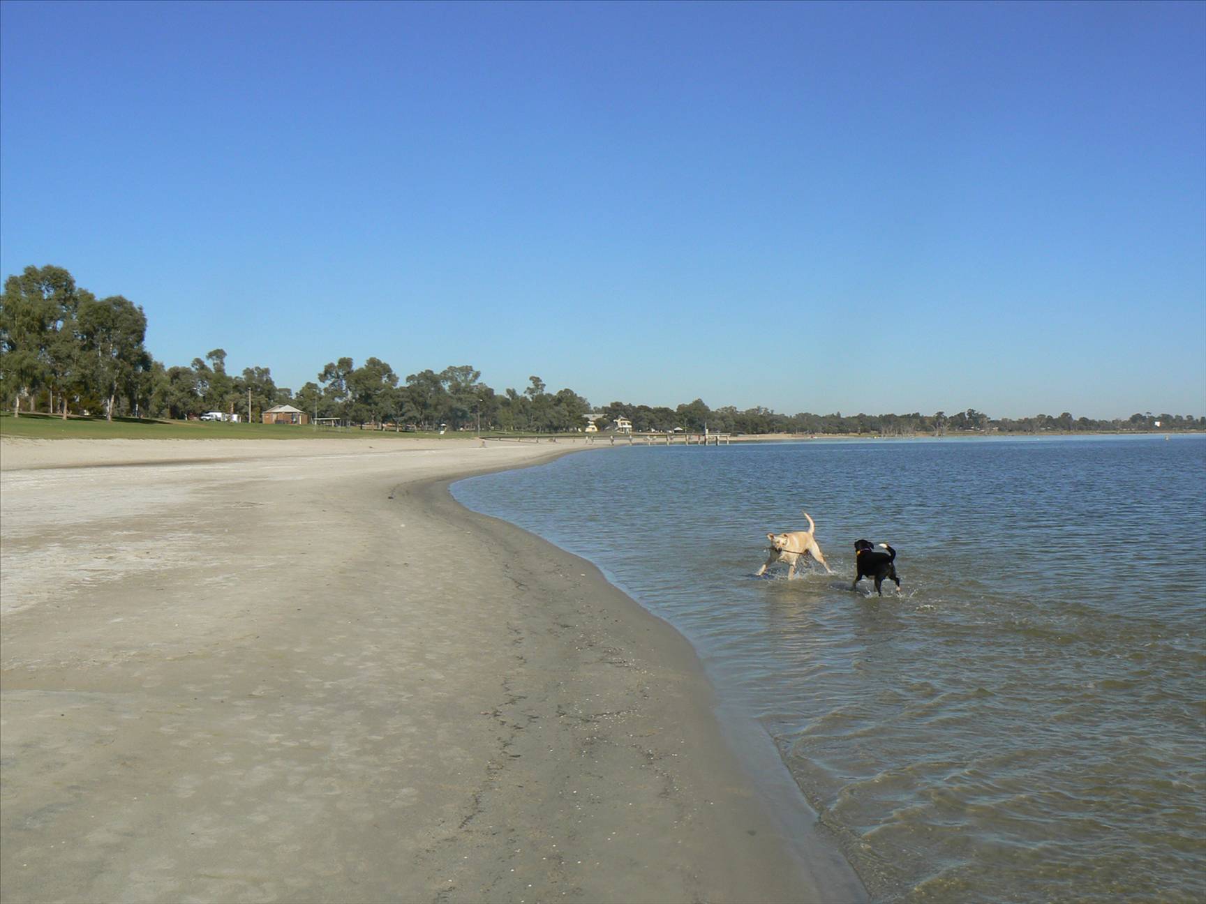 barmera lake and foreshore 9/08