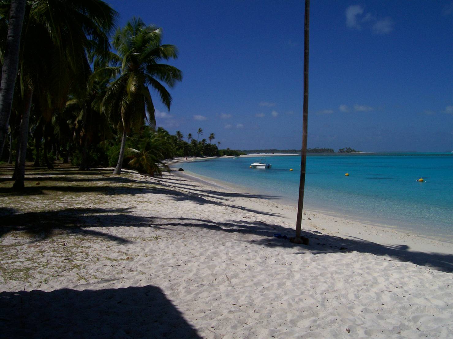Cocos time