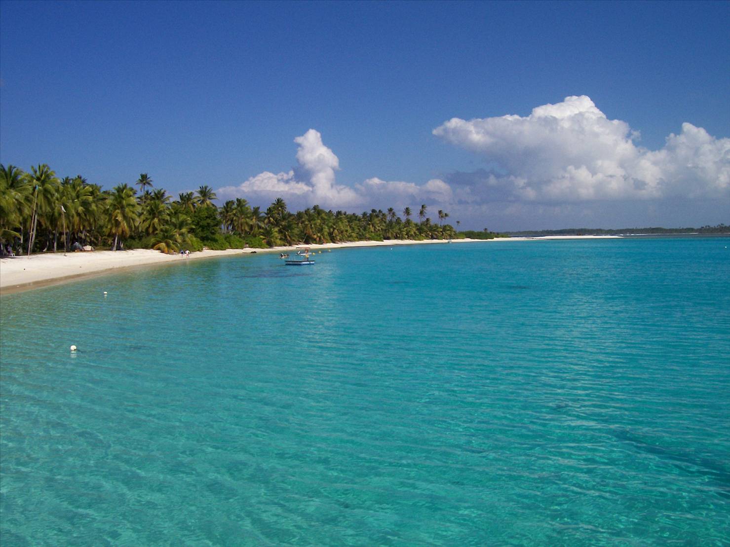 Cocos time