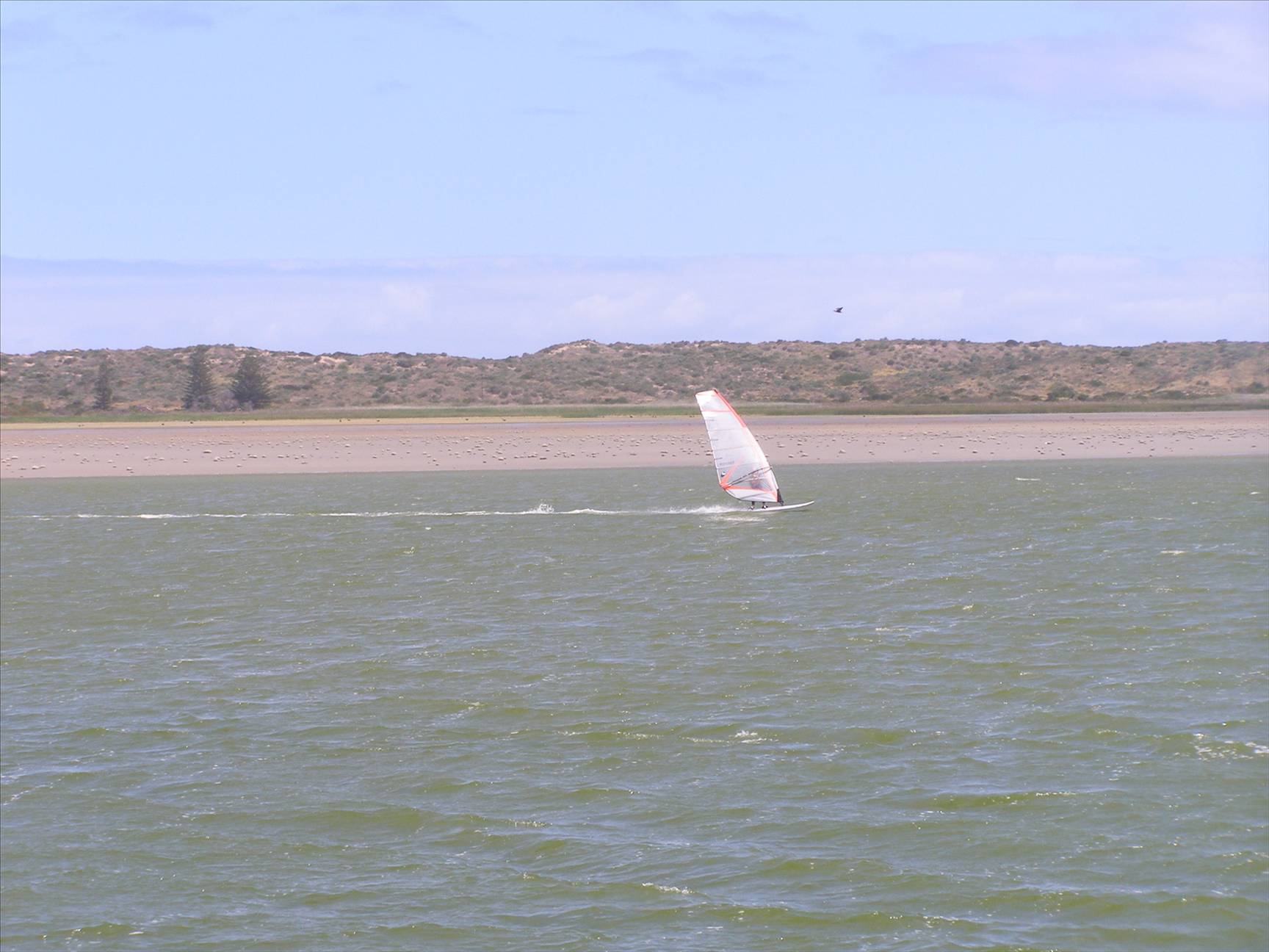 Goolwa on the 8th of November, 2008