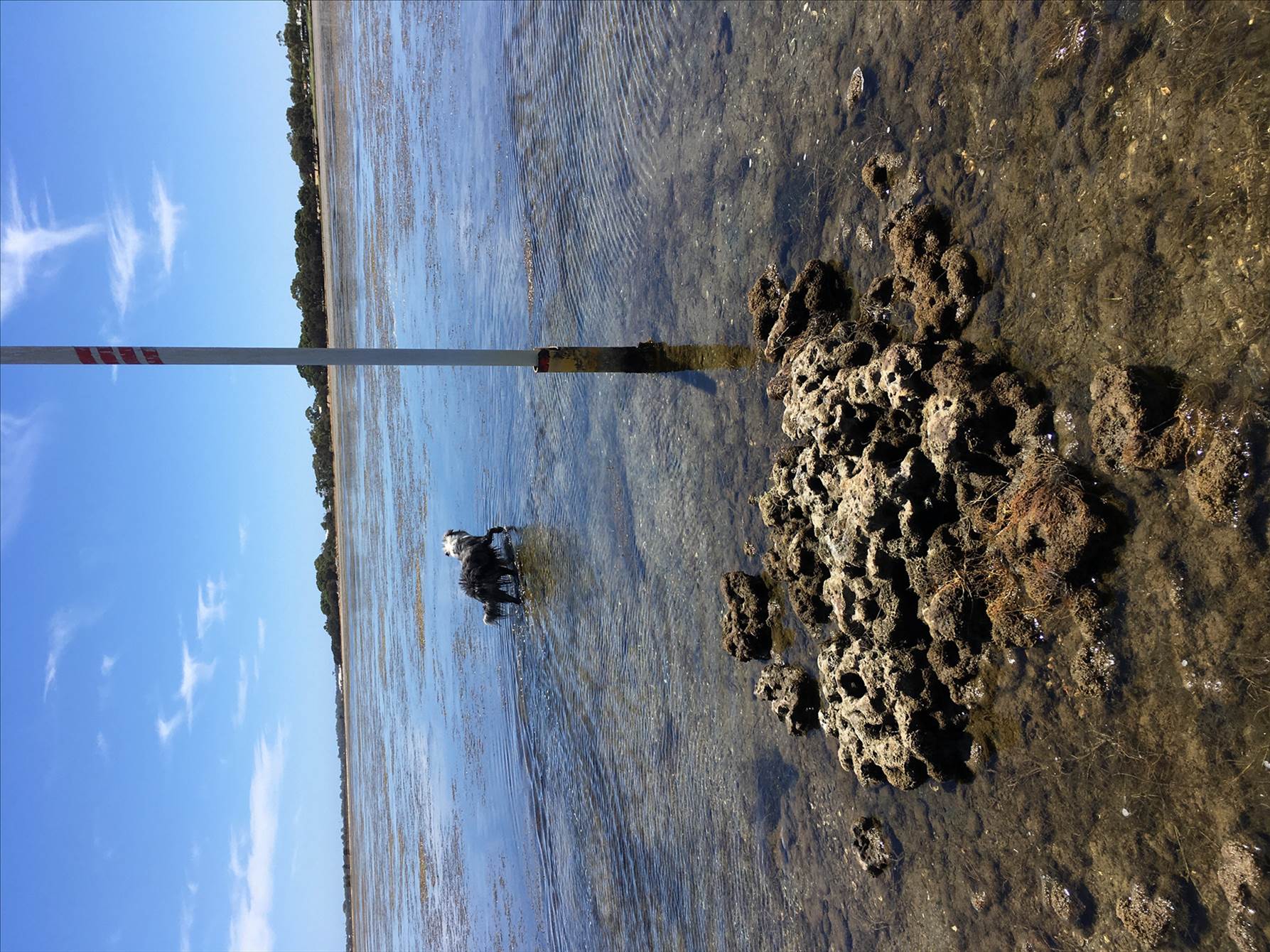 Coodanup Rocks