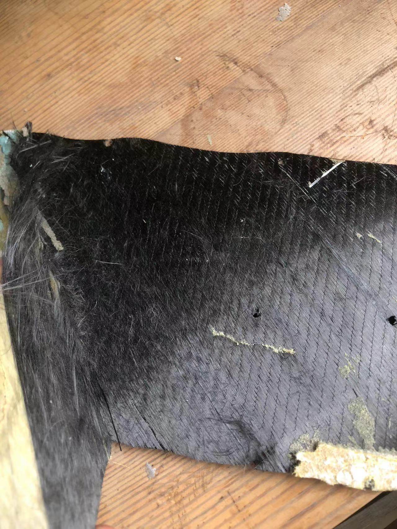 JP XCITE 145 soft deck repair