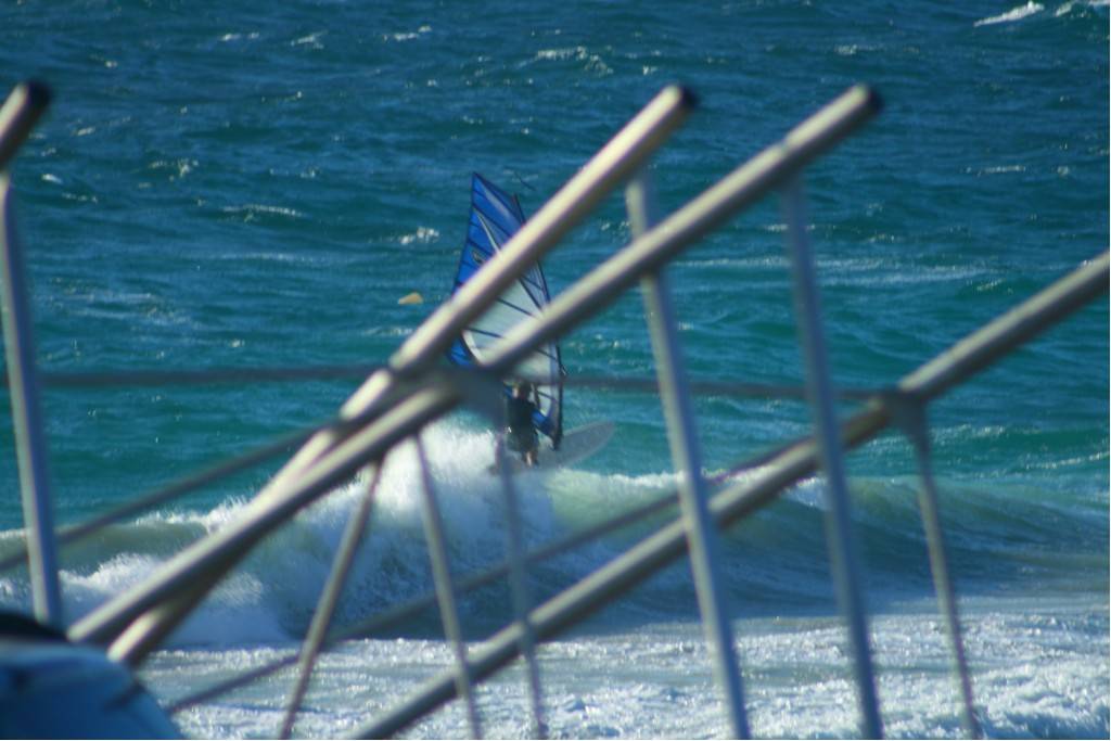 Scabs 17-12-08