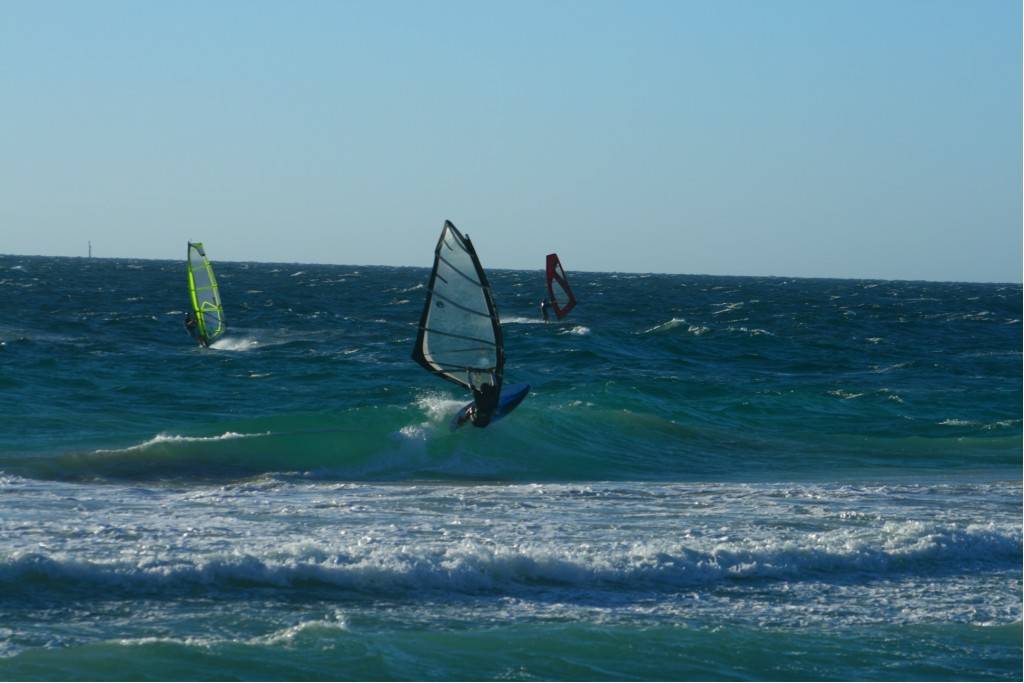 Scabs 17-12-08