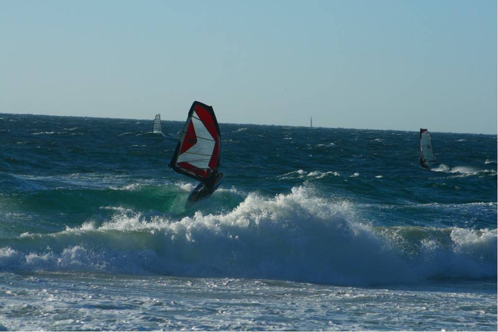 Scabs 17-12-08