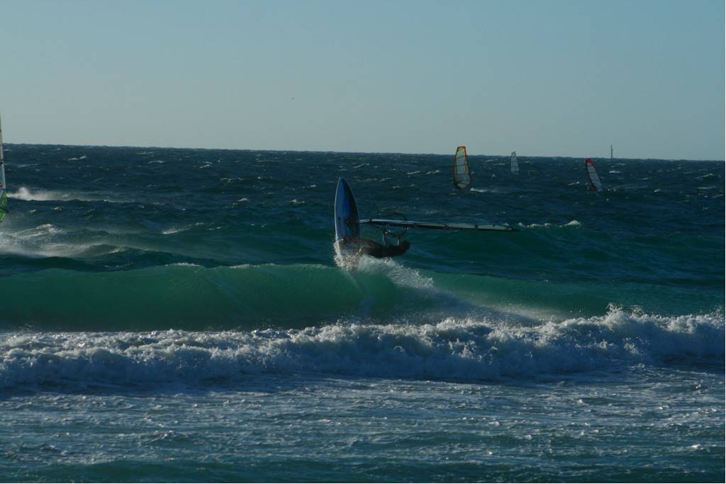 Scabs 17-12-08