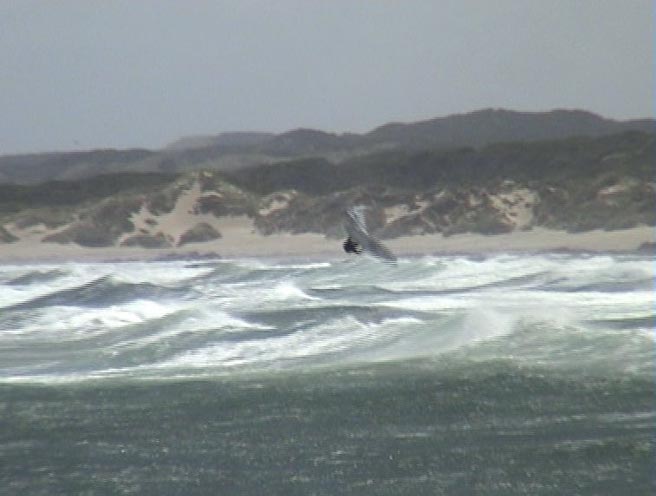 australia day 2